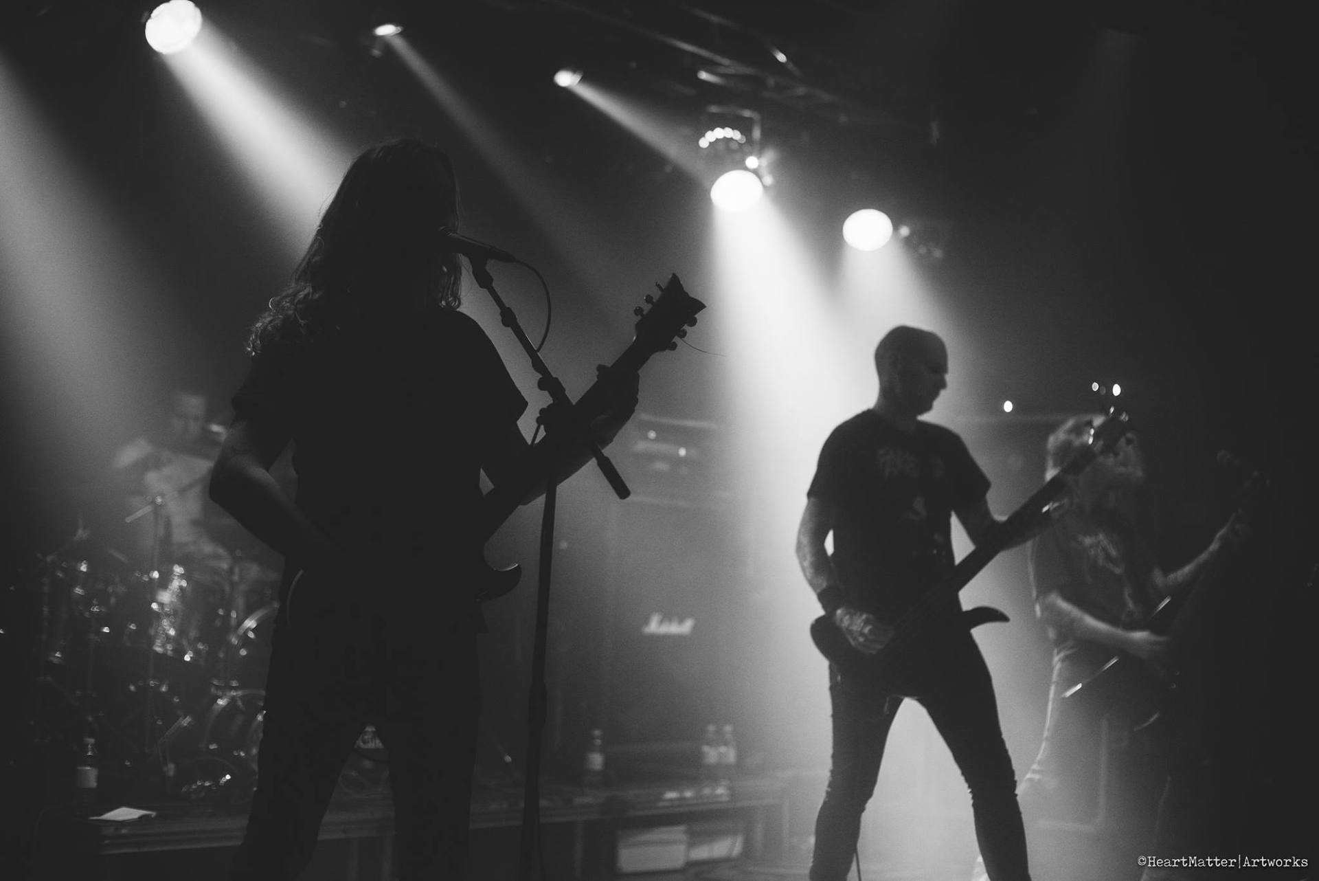 Mono Goes Metal Special