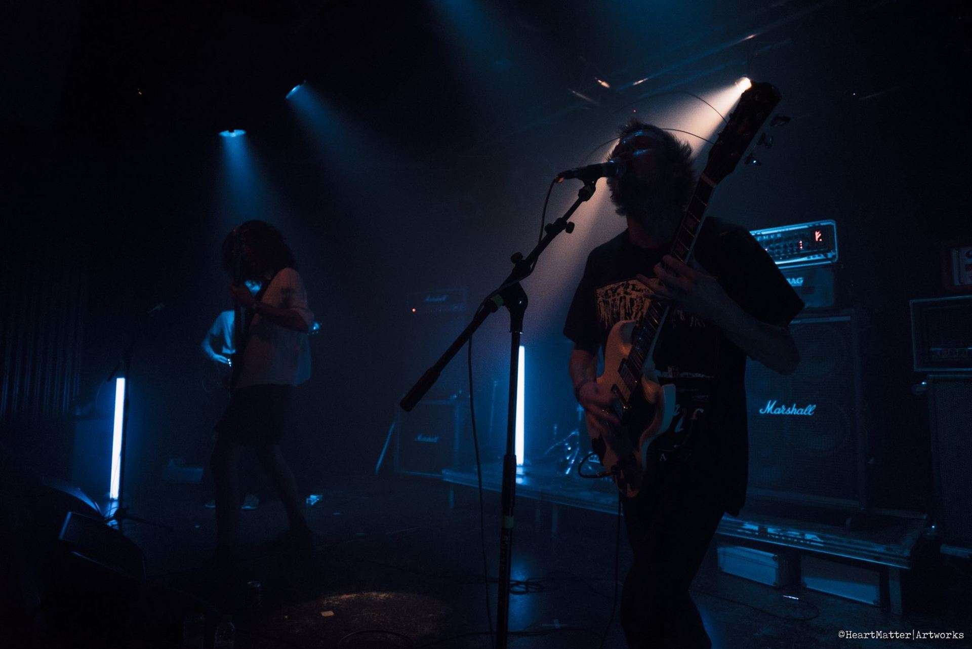 Mono Goes Metal Special