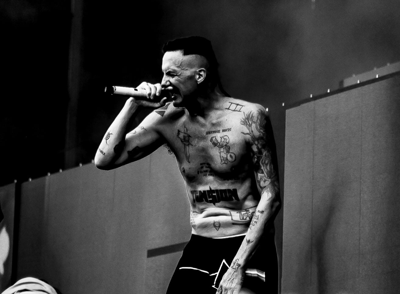 Die Antwoord
