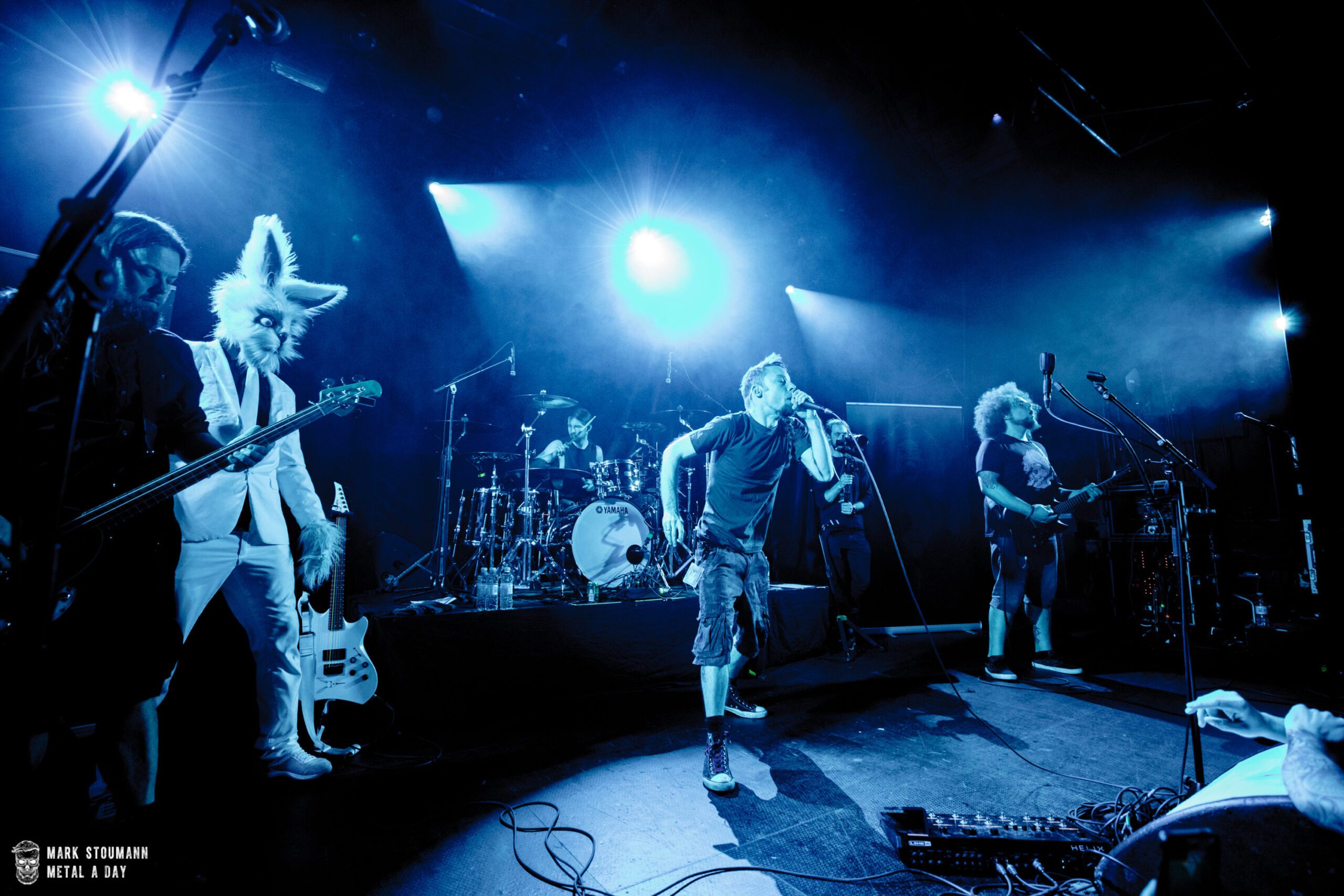 Frog Leap - Foto: Mark Stoumann