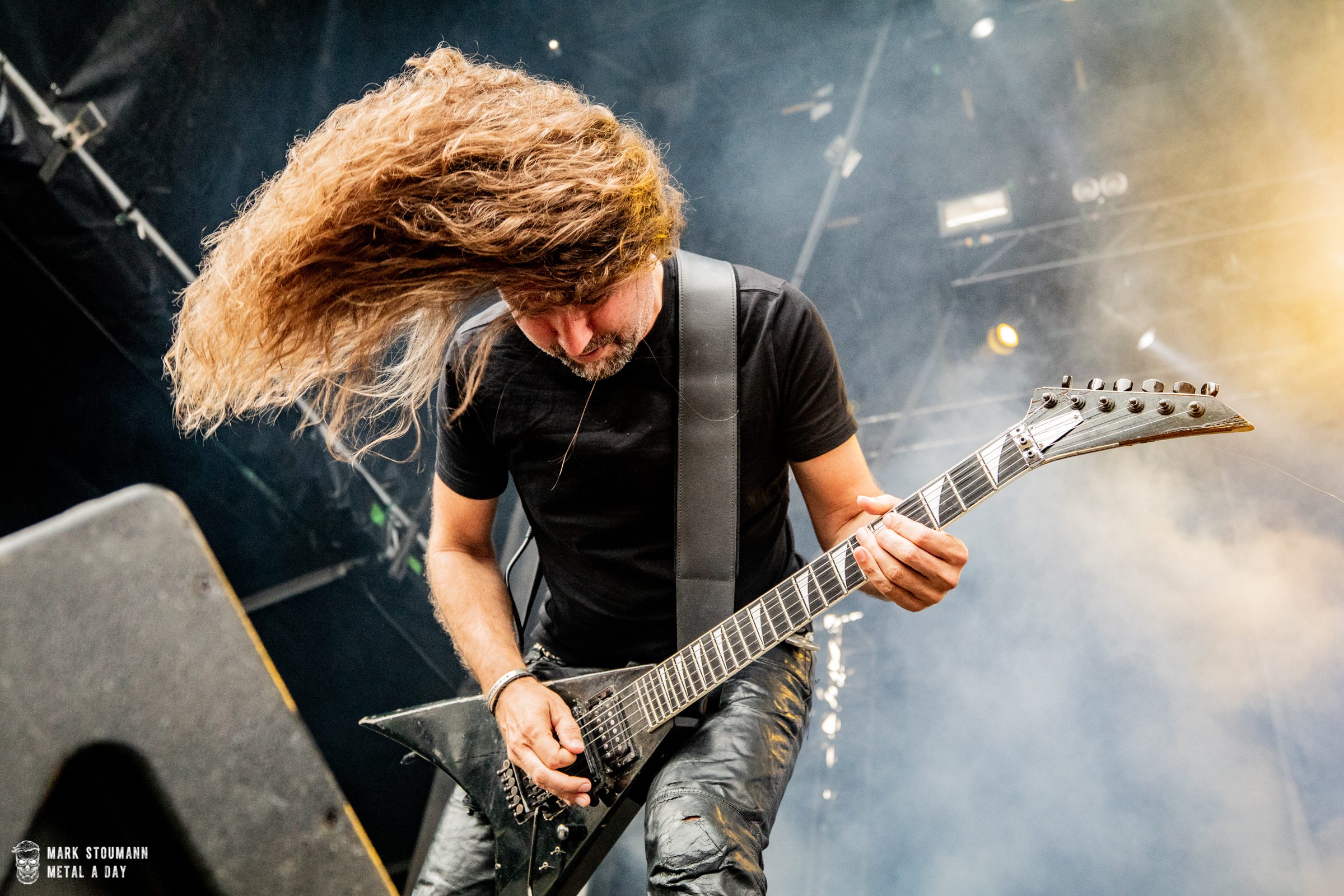 Unleashed