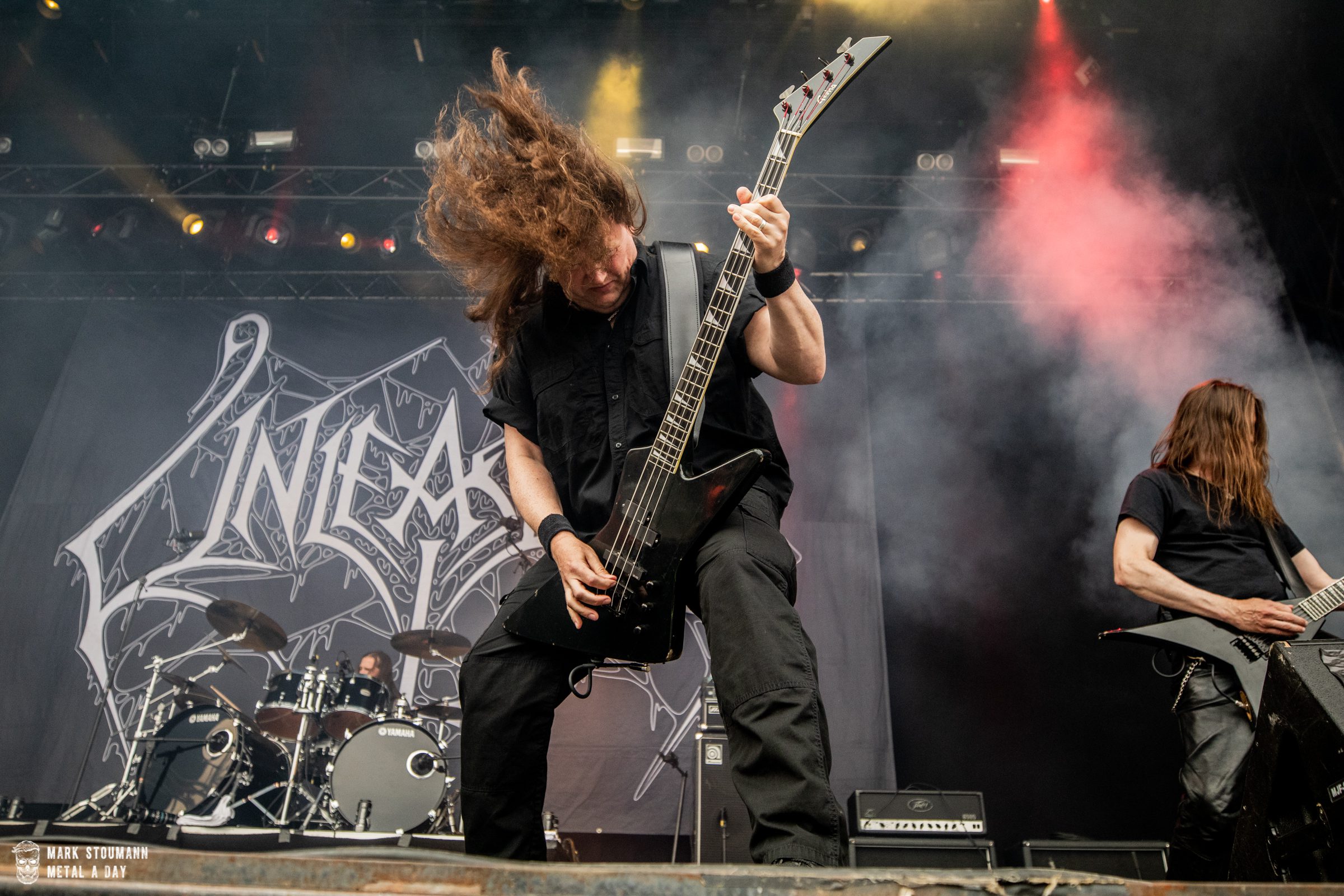 Unleashed