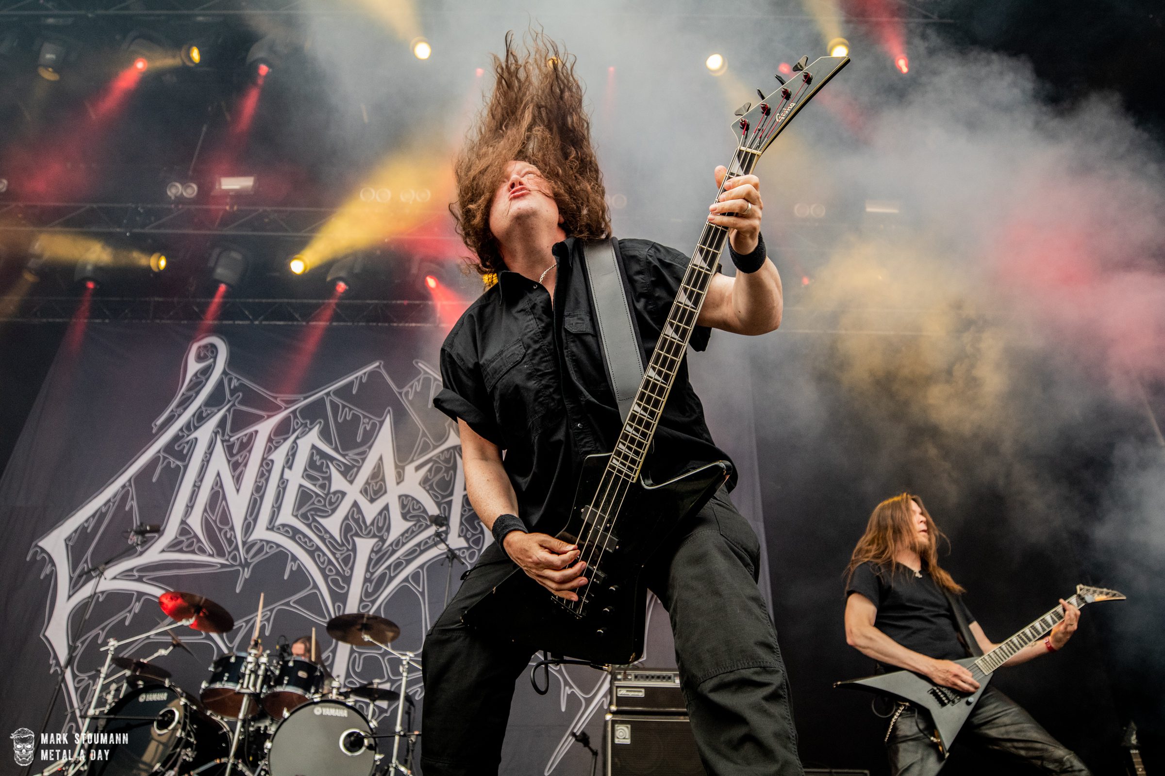 Unleashed