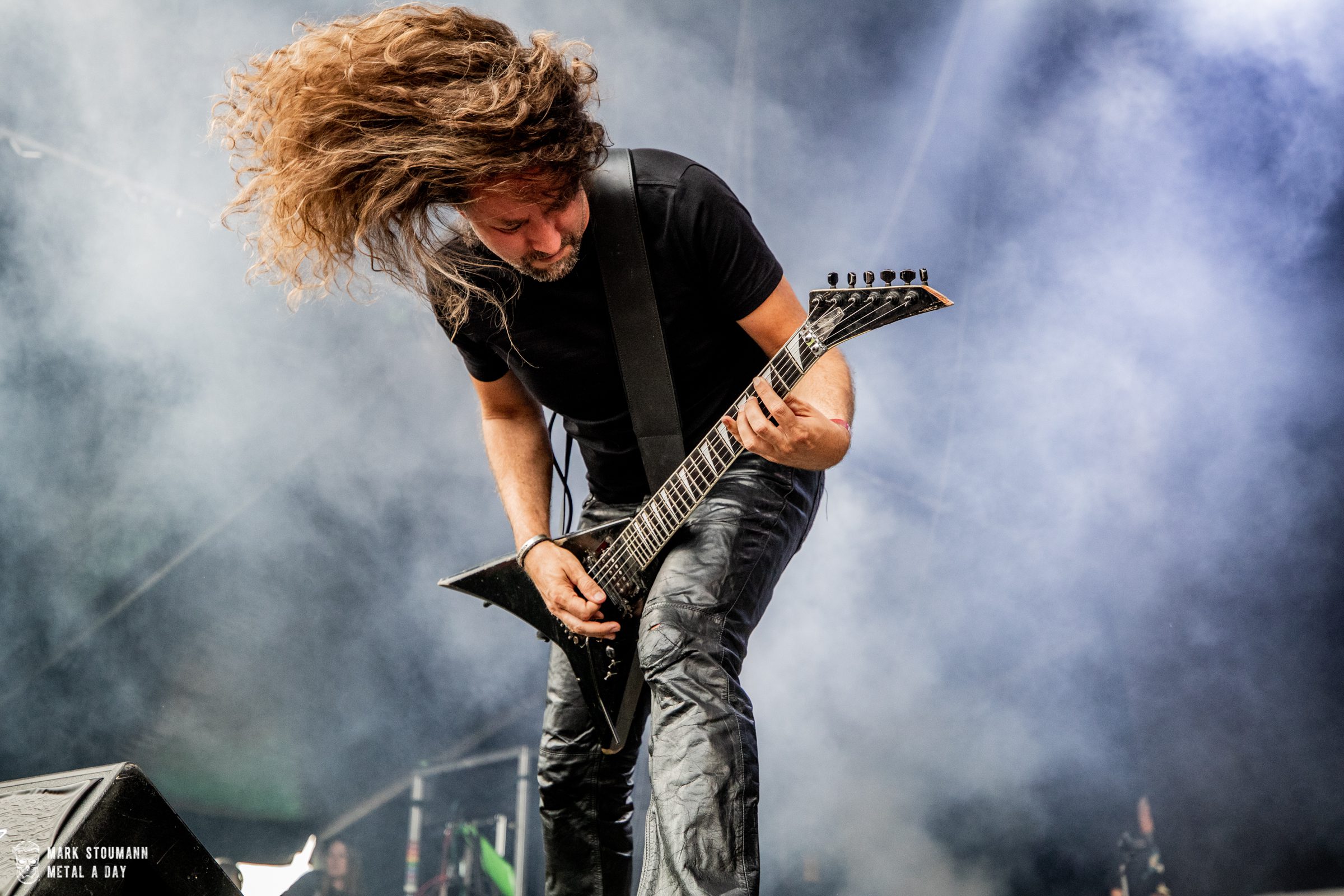 Unleashed