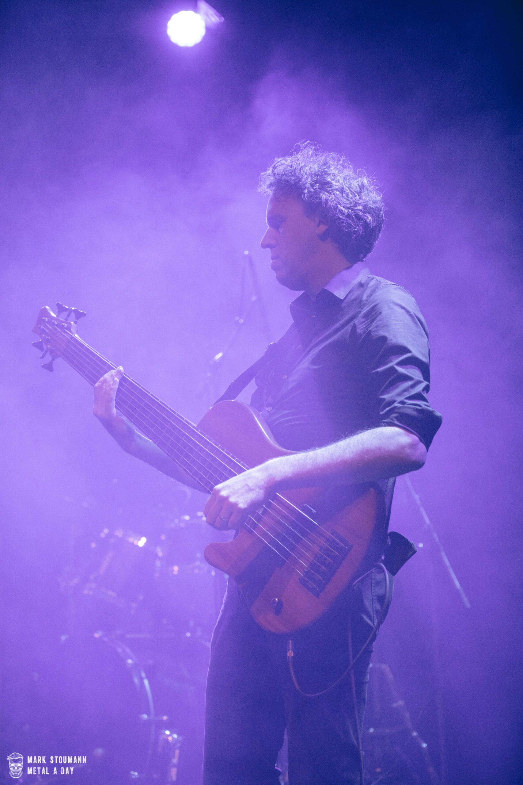 Focus - Foto: Mark Stoumann