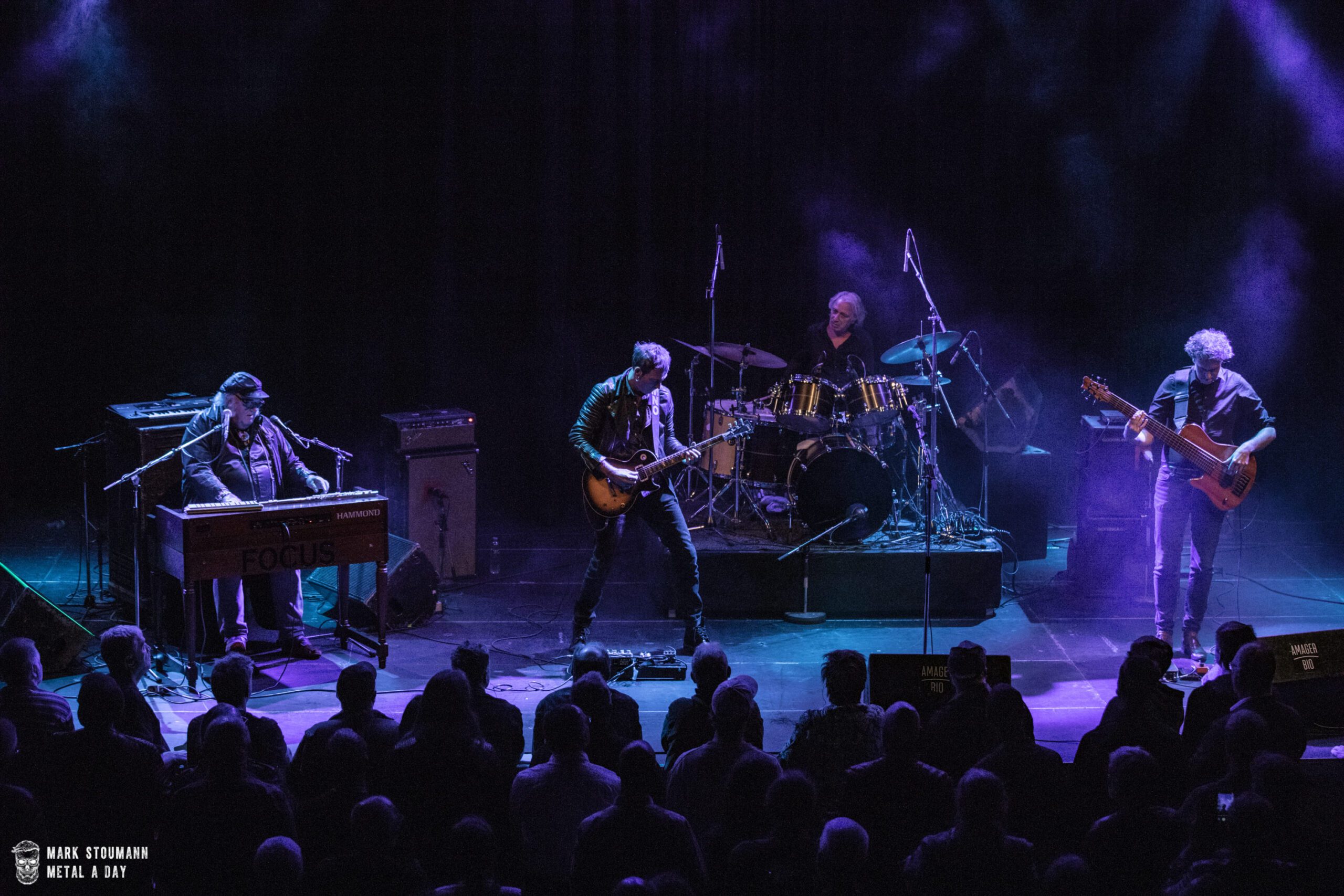 Focus - Foto: Mark Stoumann