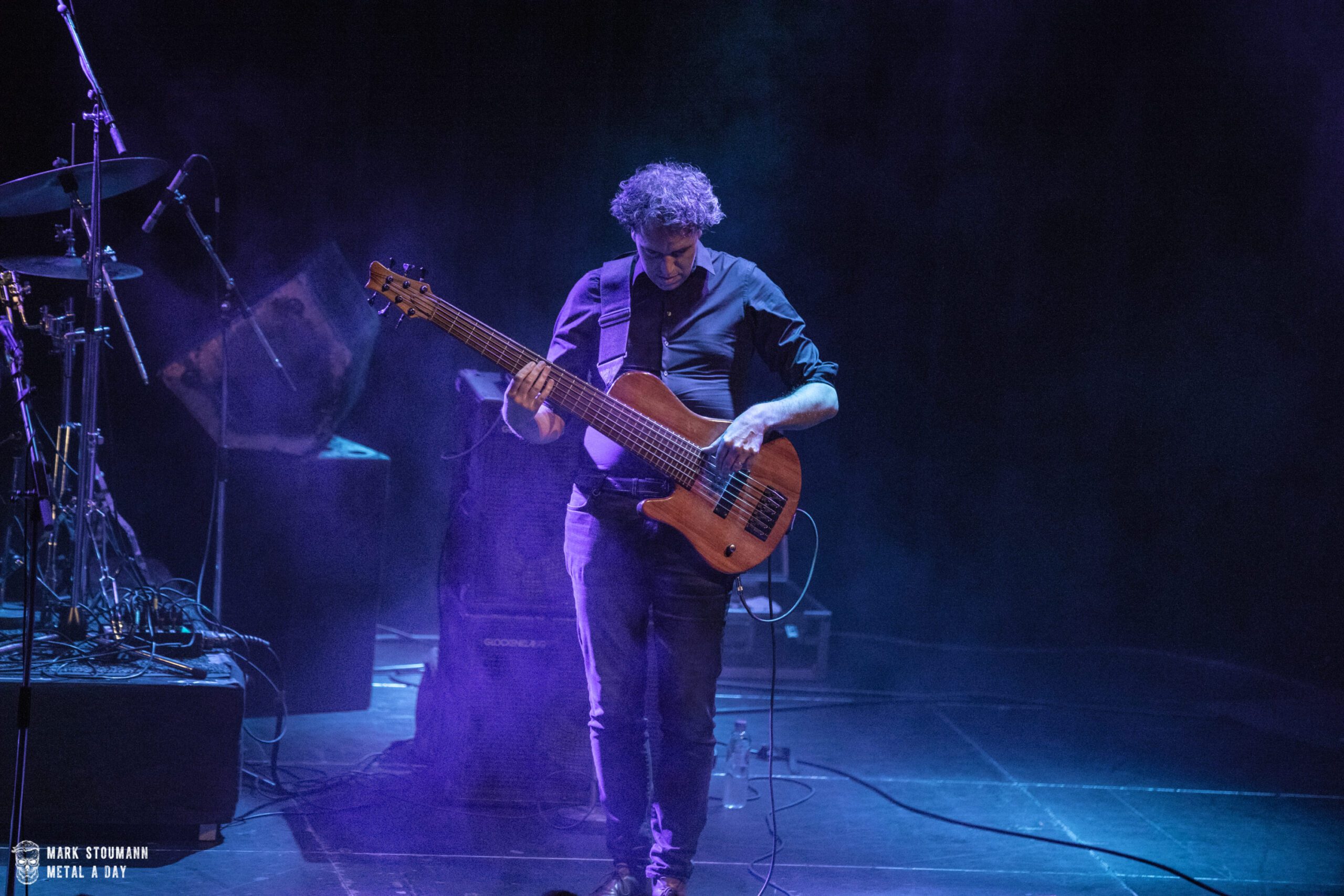 Focus - Foto: Mark Stoumann