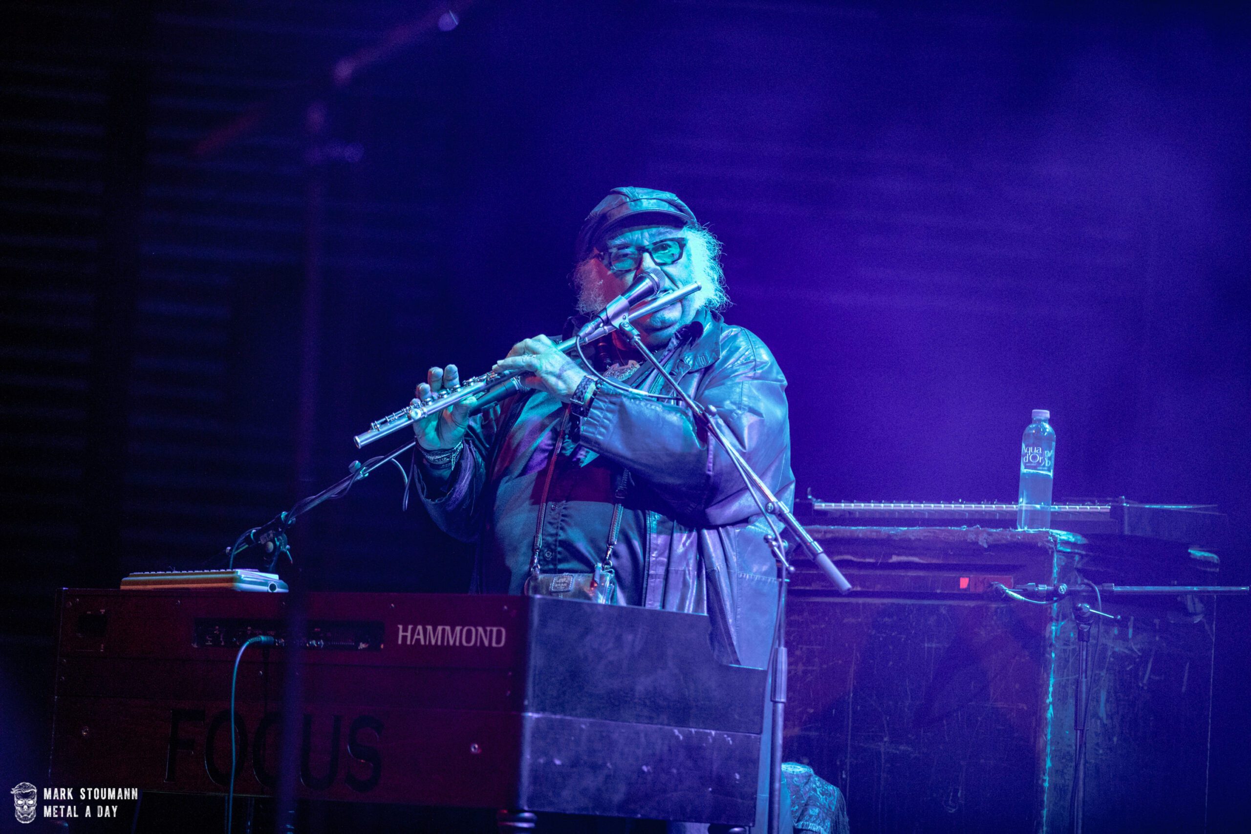 Focus - Foto: Mark Stoumann