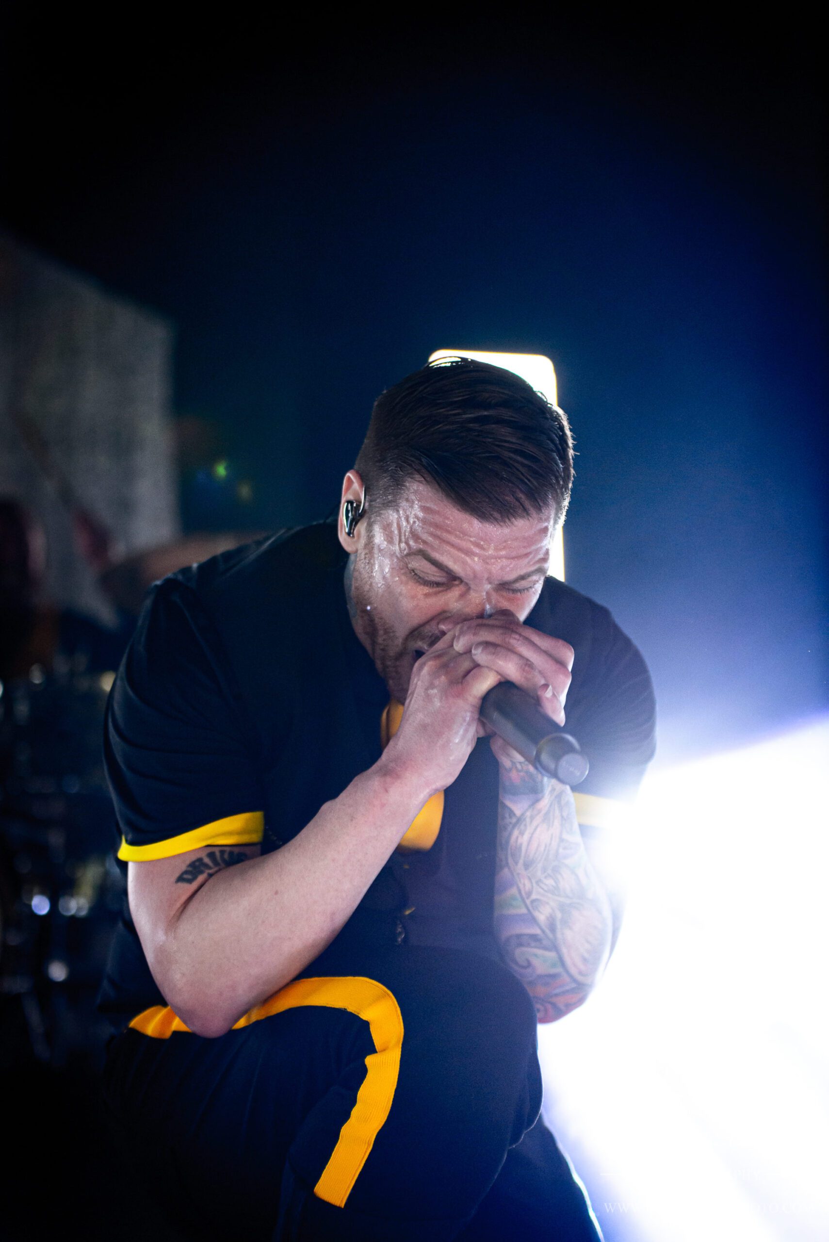 The Raven Age, Shinedown, Alter Bridge