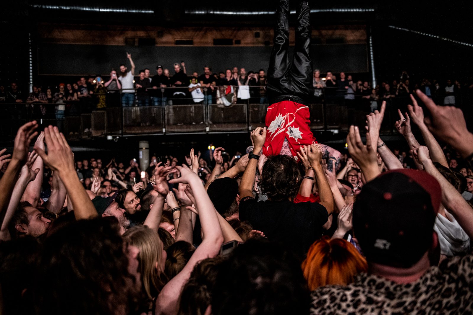 Fotoreportage: Frank Carter & The Rattlesnakes - Foto: Hasan Jensen