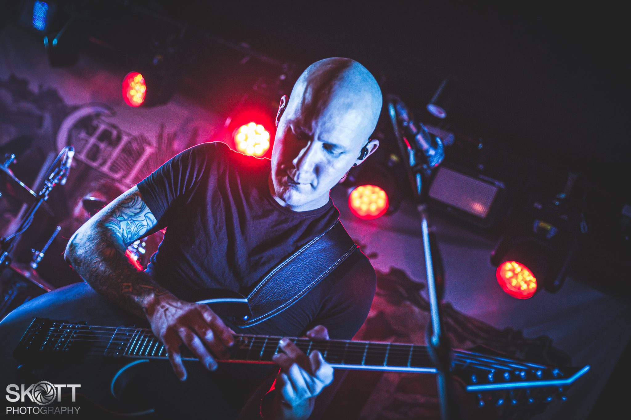 Cellar Darling - Foto: Tommy Skøtt