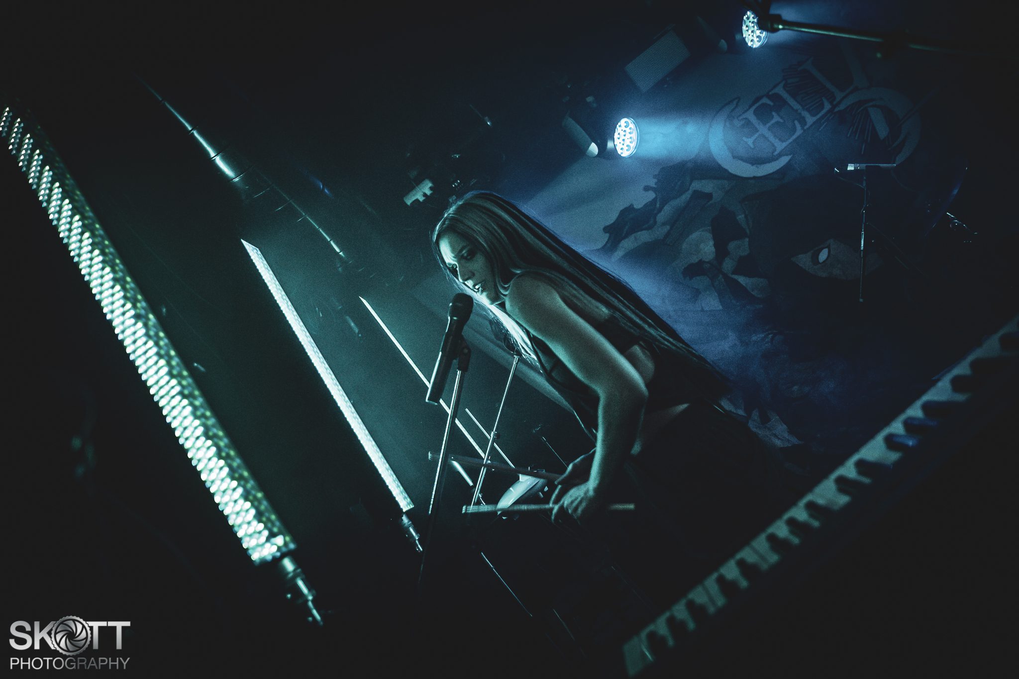 Cellar Darling - Foto: Tommy Skøtt
