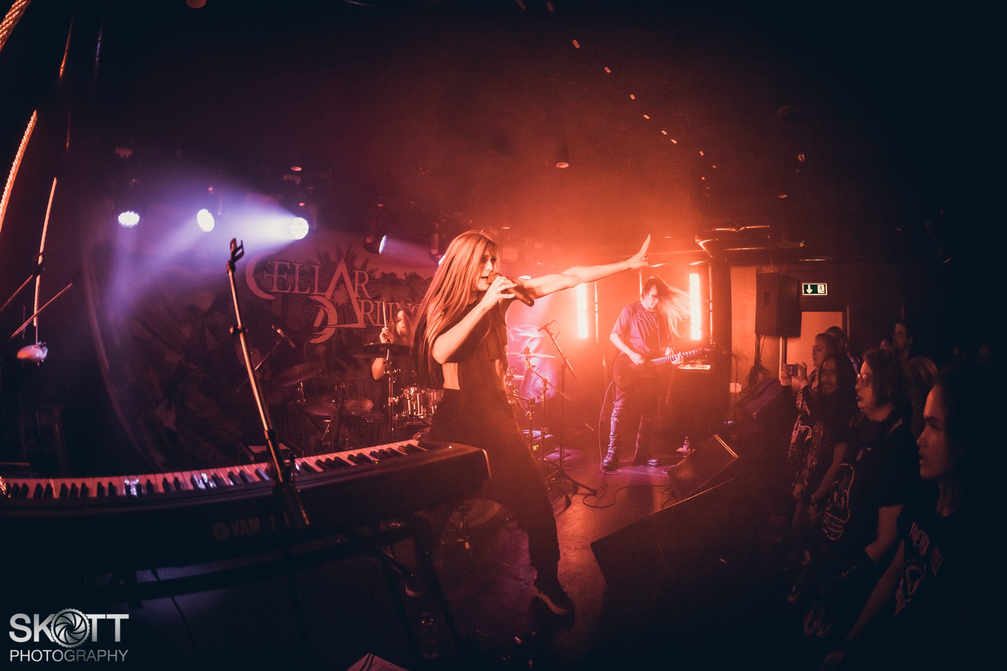 Cellar Darling - Foto: Tommy Skøtt