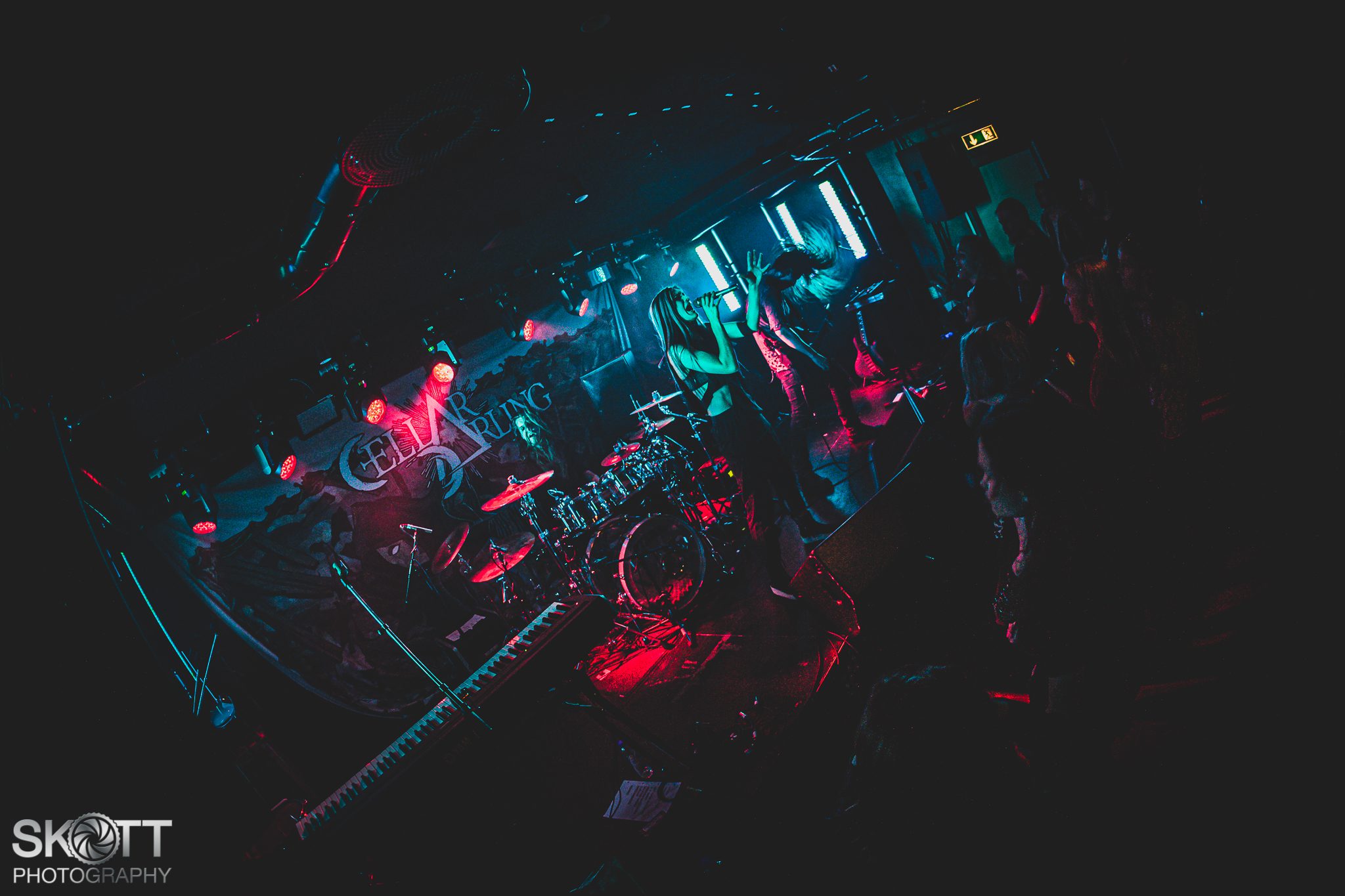 Cellar Darling - Foto: Tommy Skøtt
