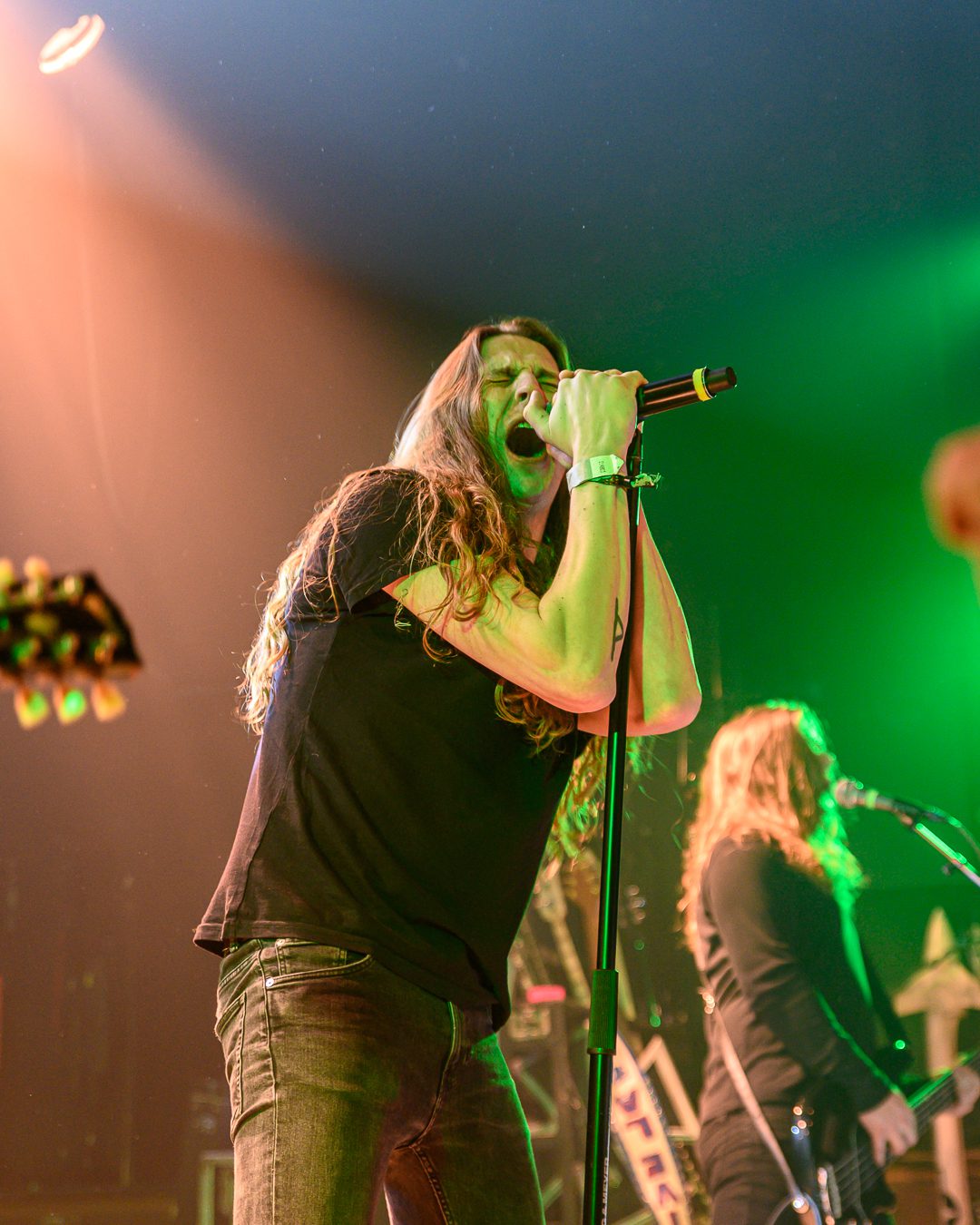 Bersærk - Foto: Anders Mikkelsen