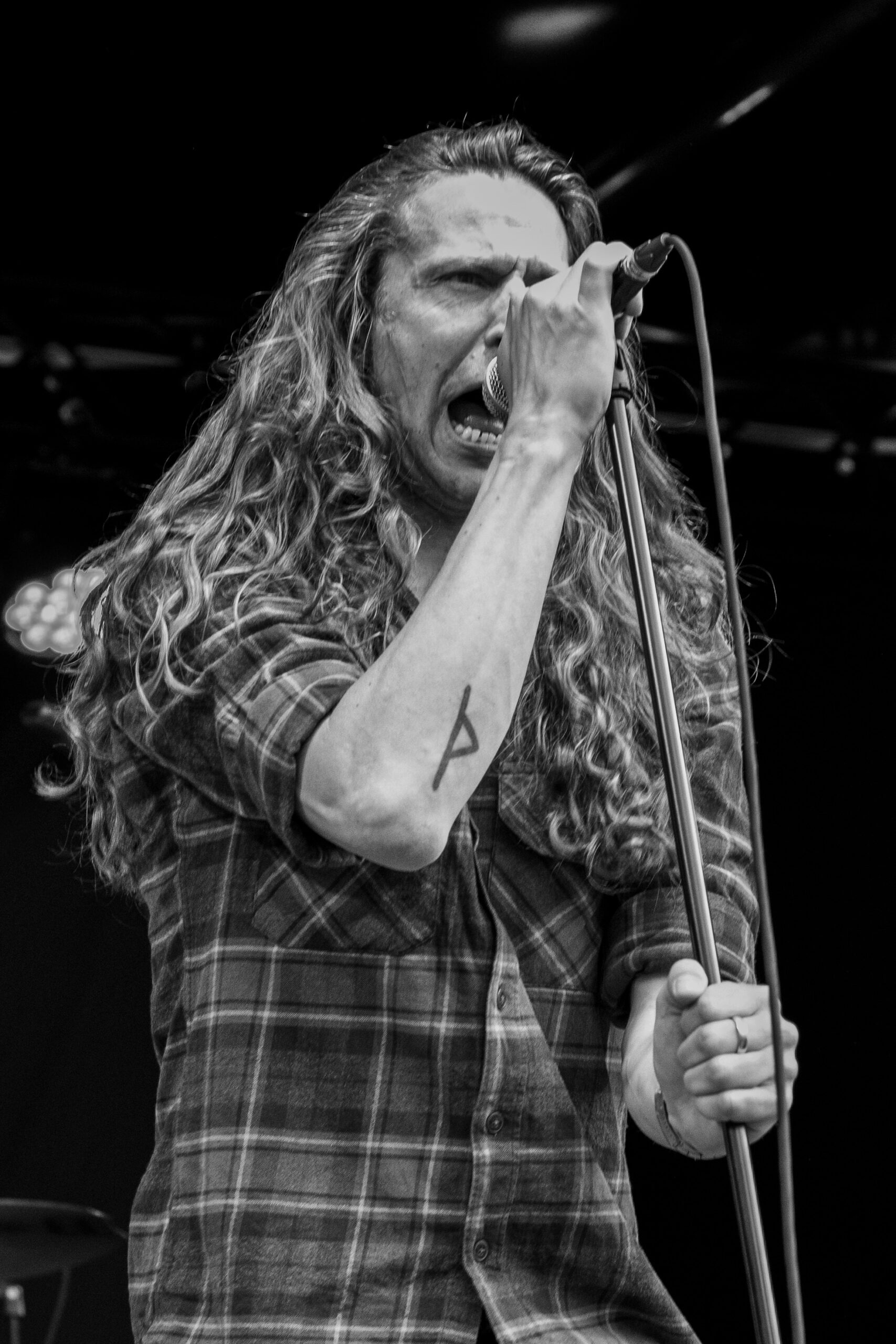 Bersærk - Foto: Amanda Gaarsdal