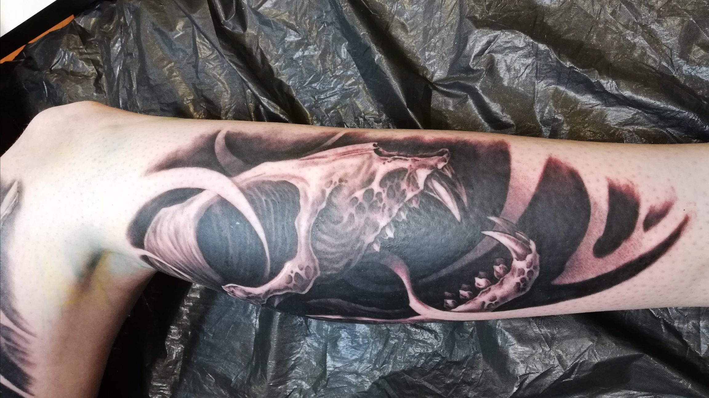 Blackwork Con: Sorte stråler skabte sollys