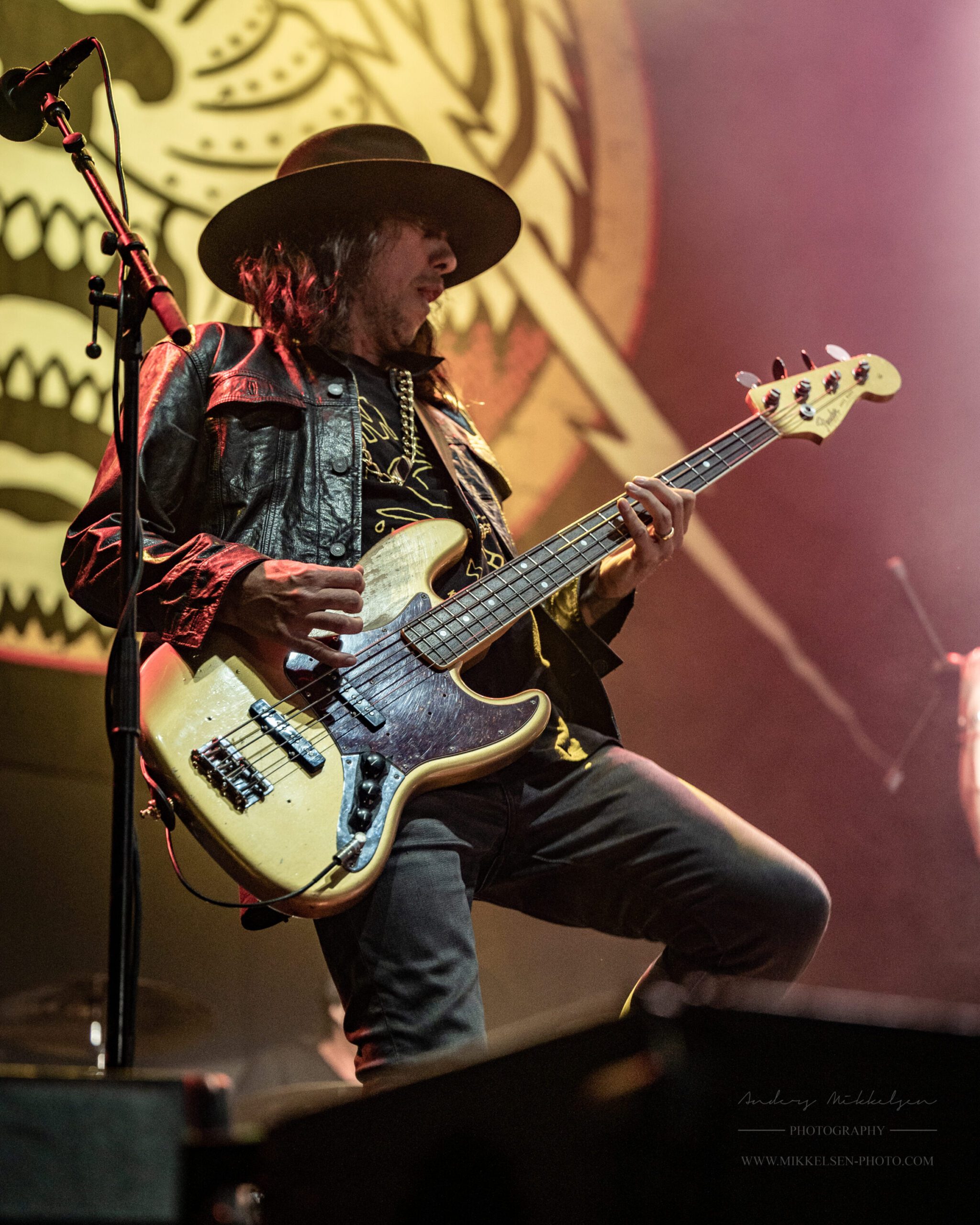 Alice Cooper - Foto: Anders Gross Mikkelsen