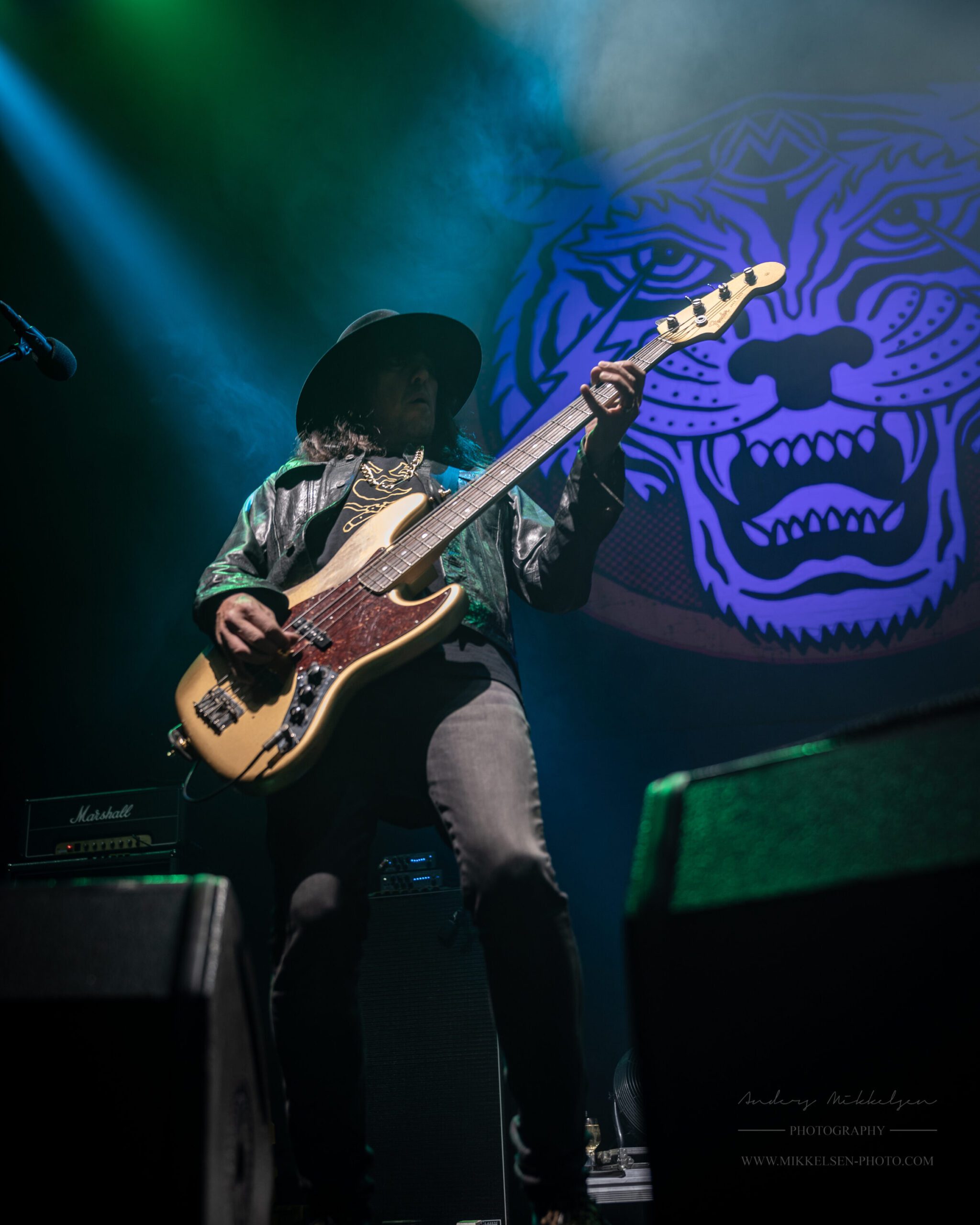 Alice Cooper - Foto: Anders Gross Mikkelsen
