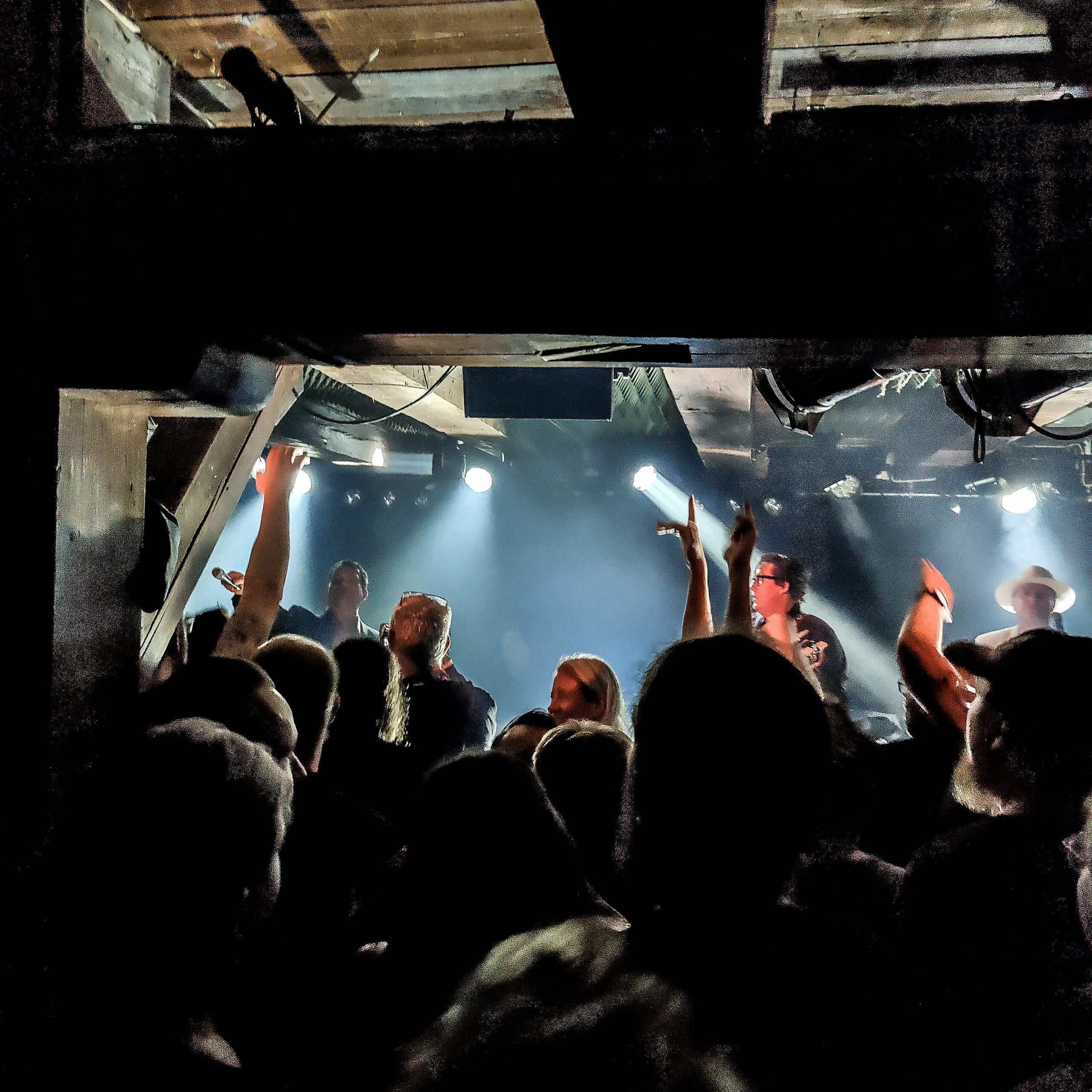 Den korte fest