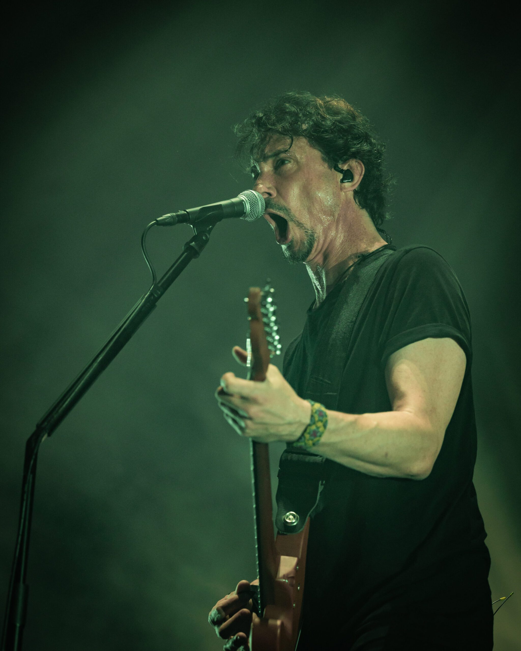 Gojira