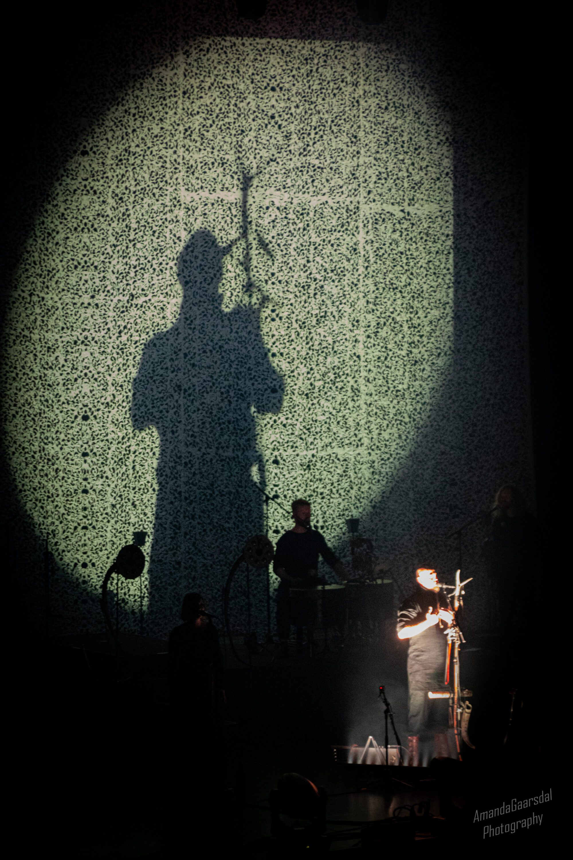 Wardruna
