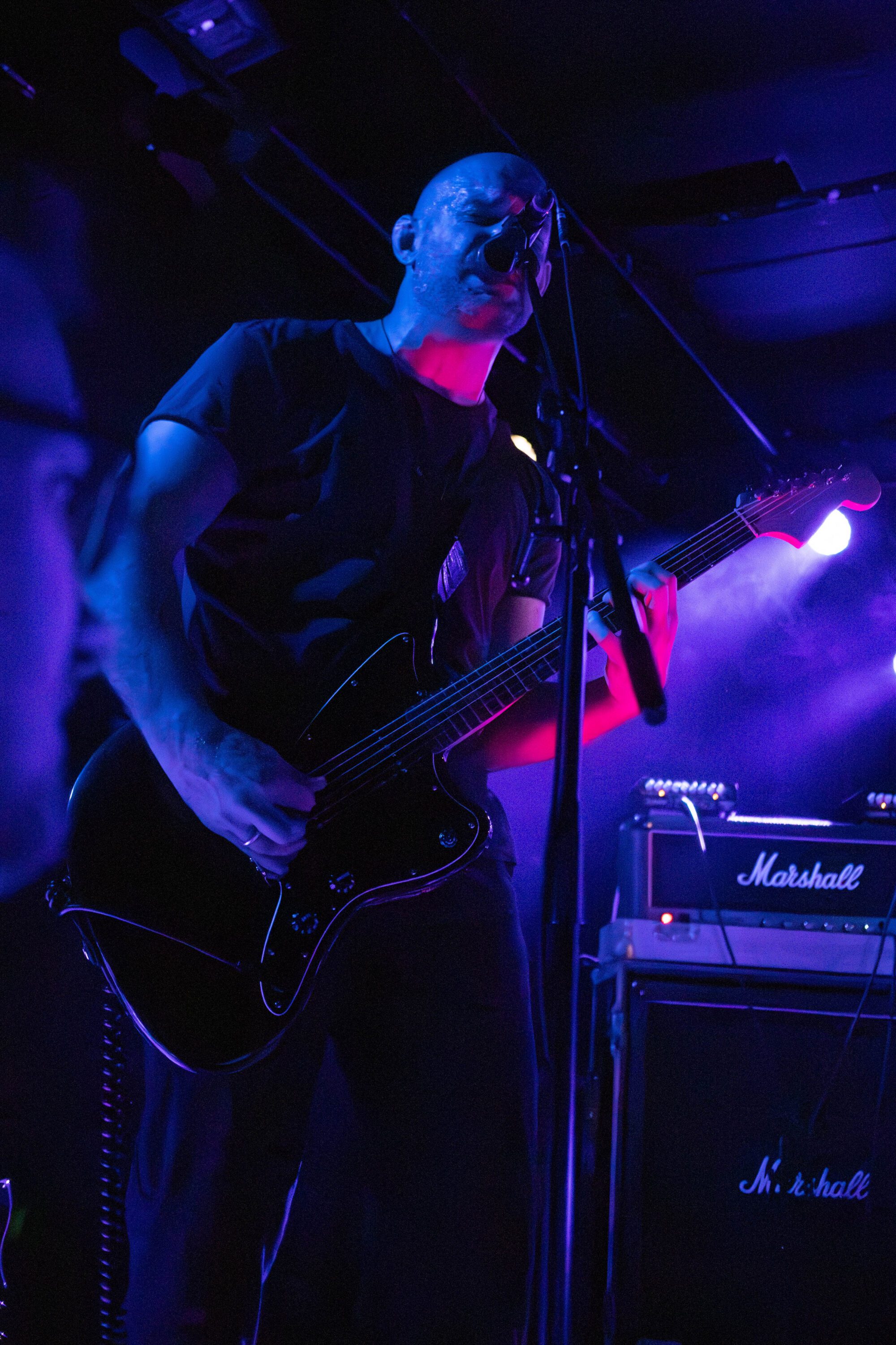 Alcest