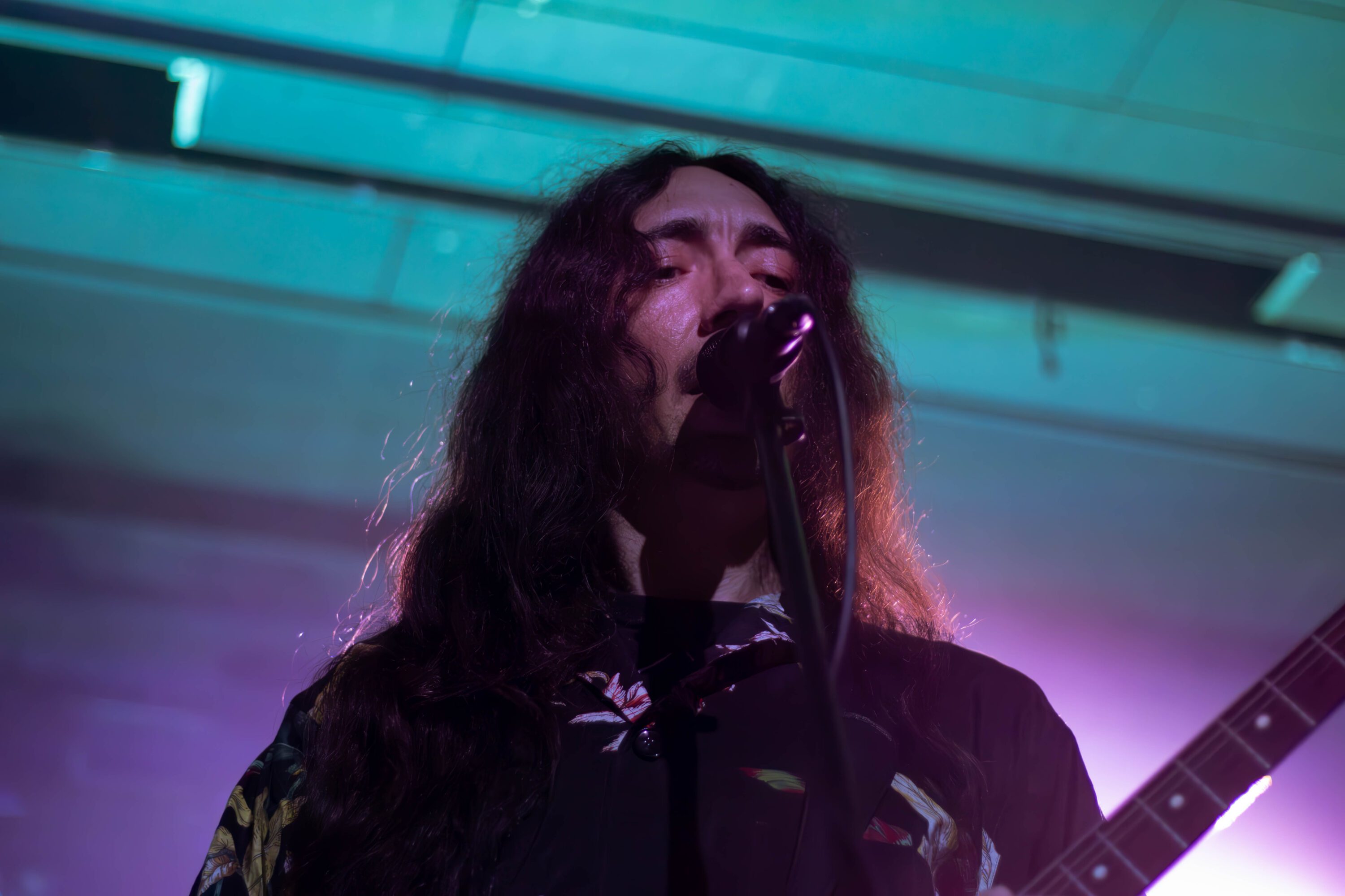 Alcest