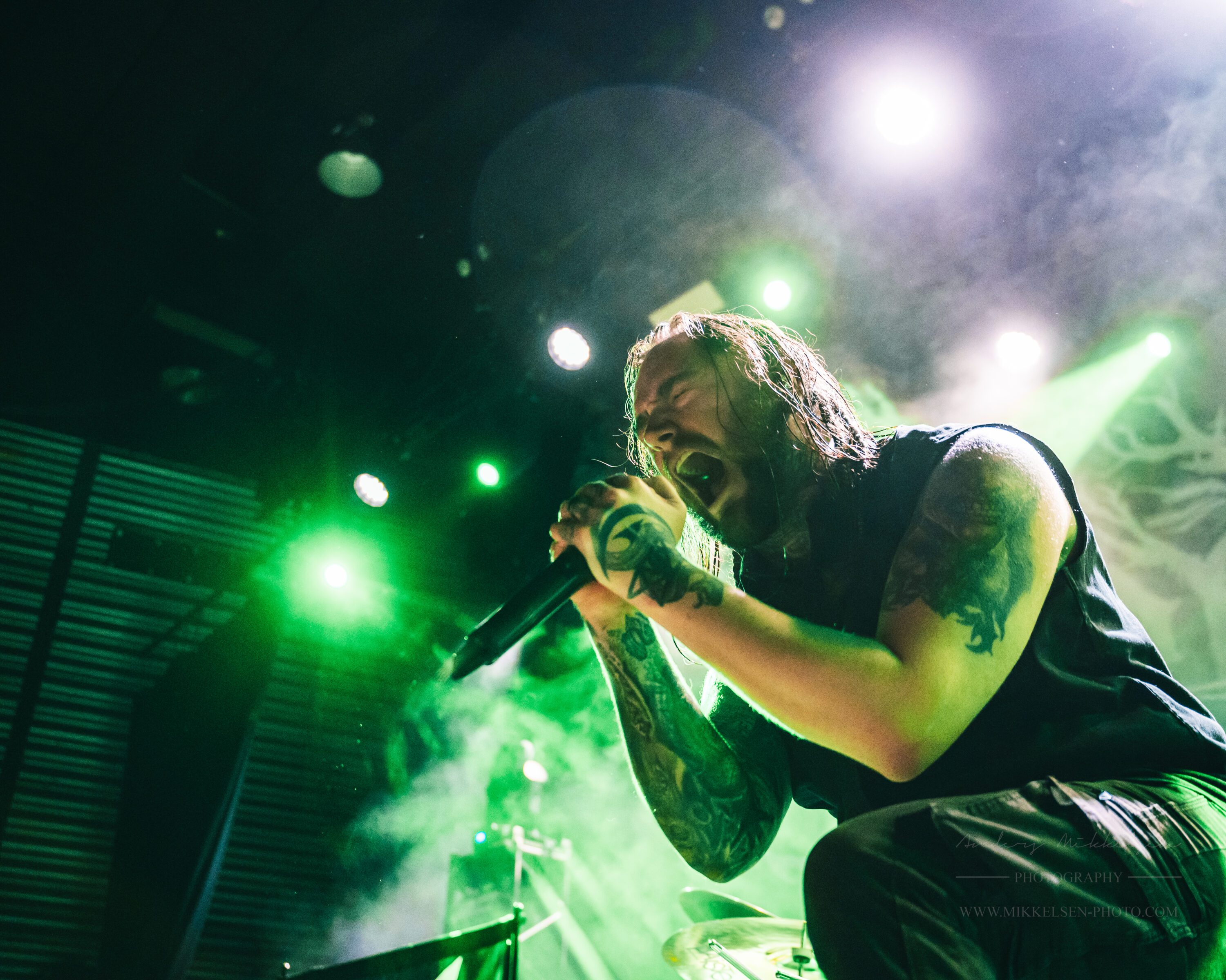 Ingested