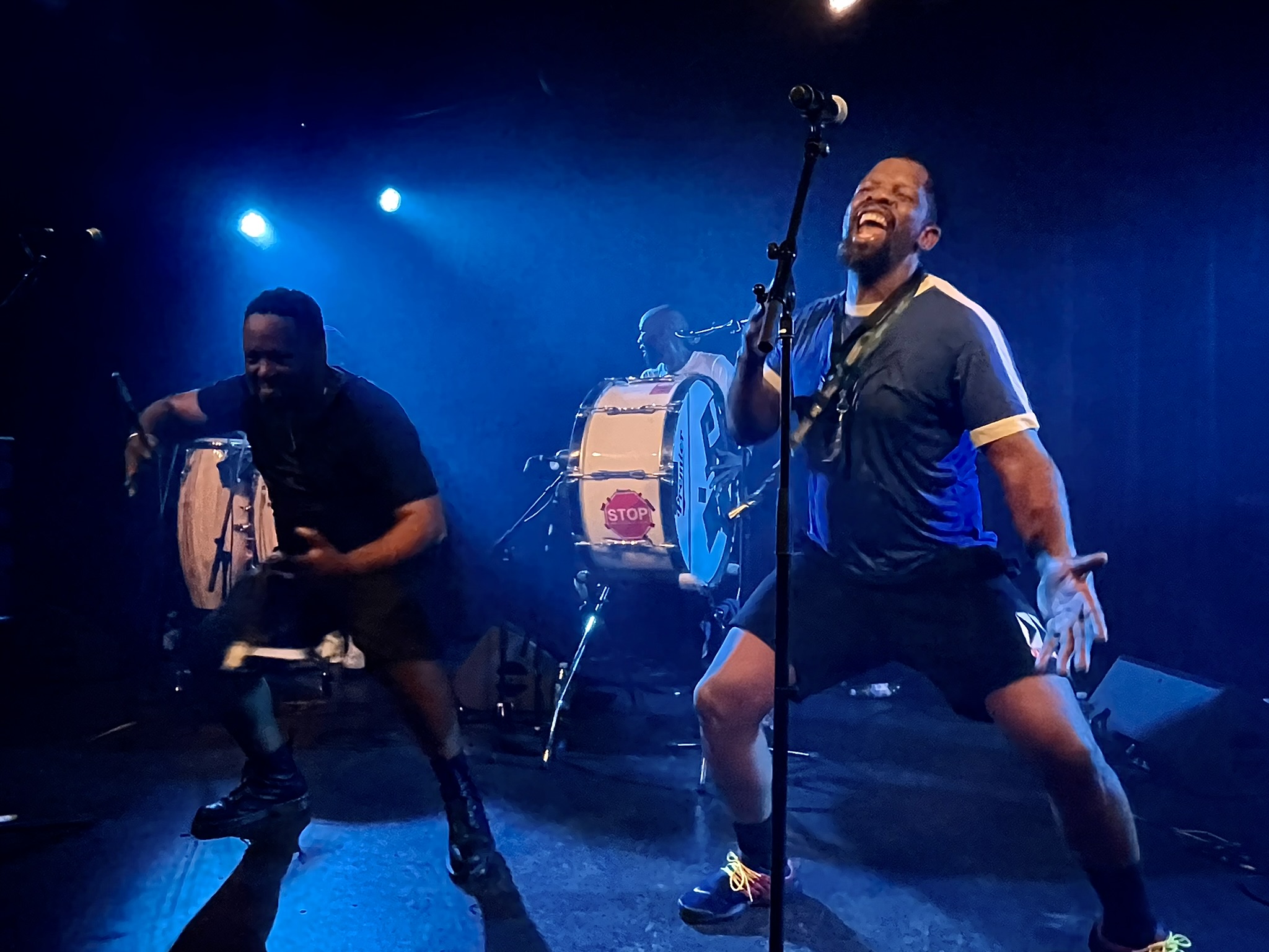 Den afrikanske larm