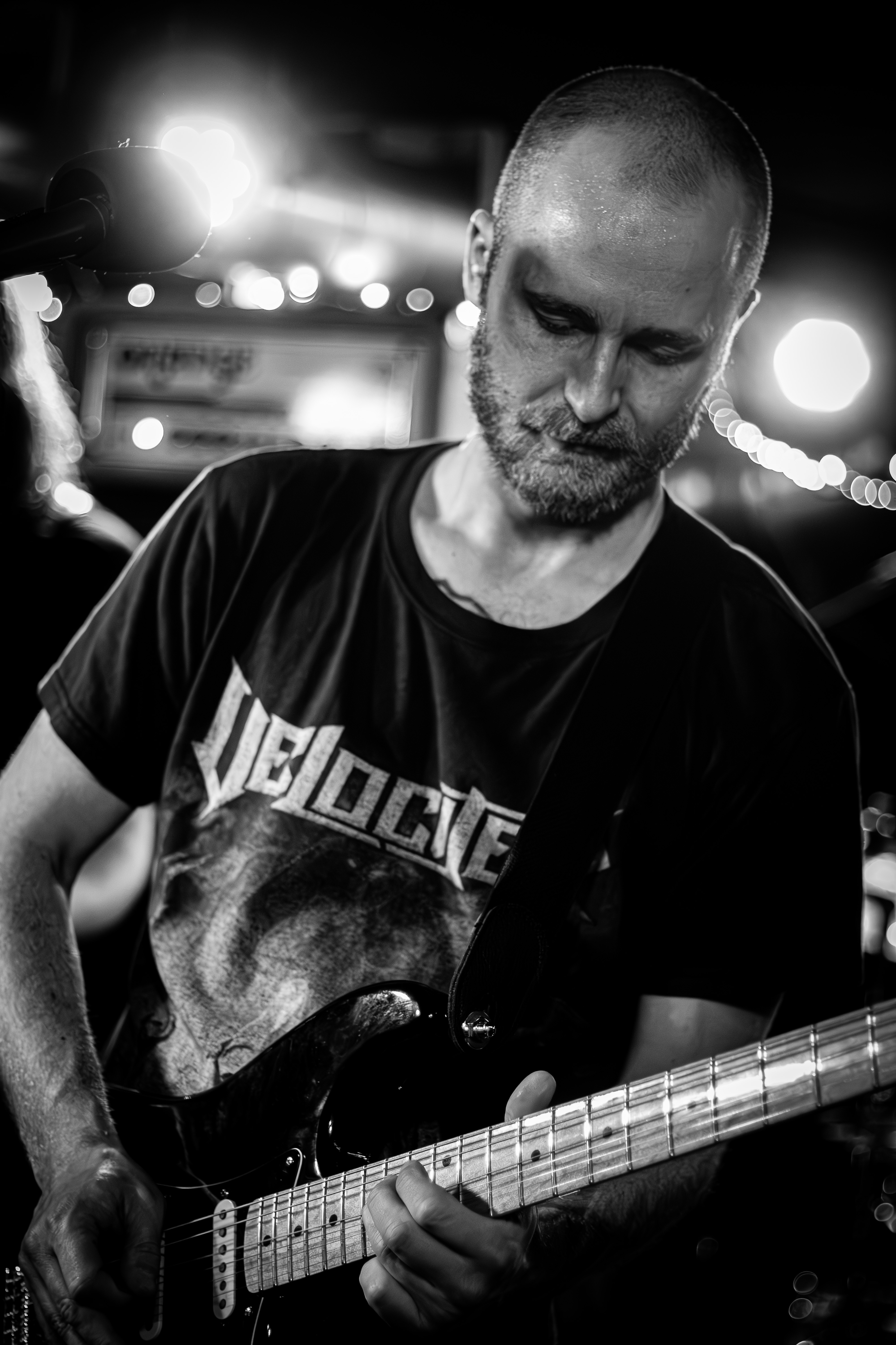 Embryo - Foto: Akemy Aoyama og Bastian Reinholdt Madsen