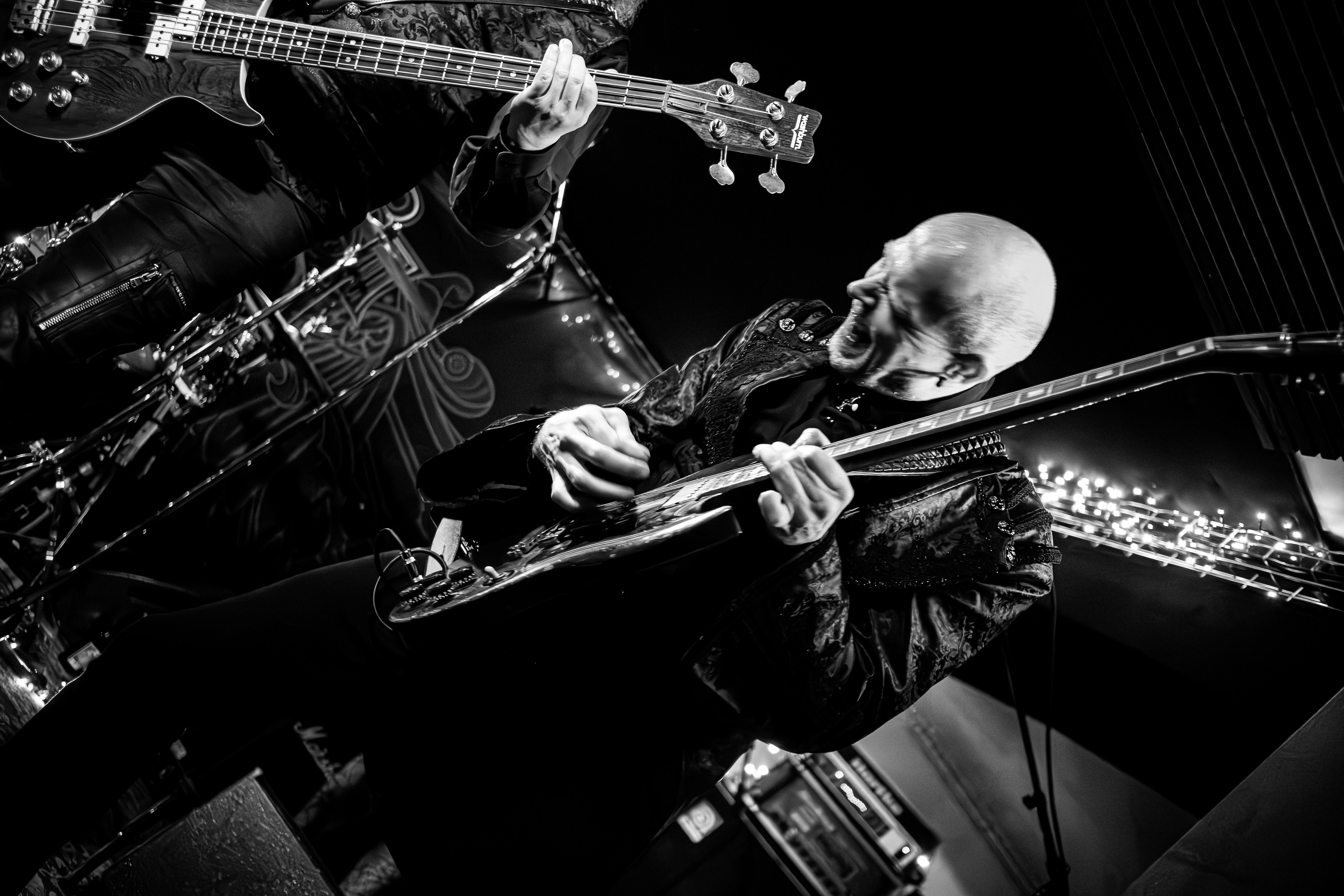 Embryo - Foto: Akemy Aoyama og Bastian Reinholdt Madsen