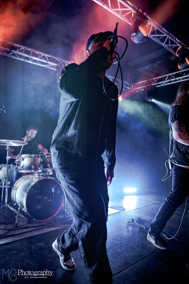 Gradience - Foto: Magnus Karms Blichfeldt