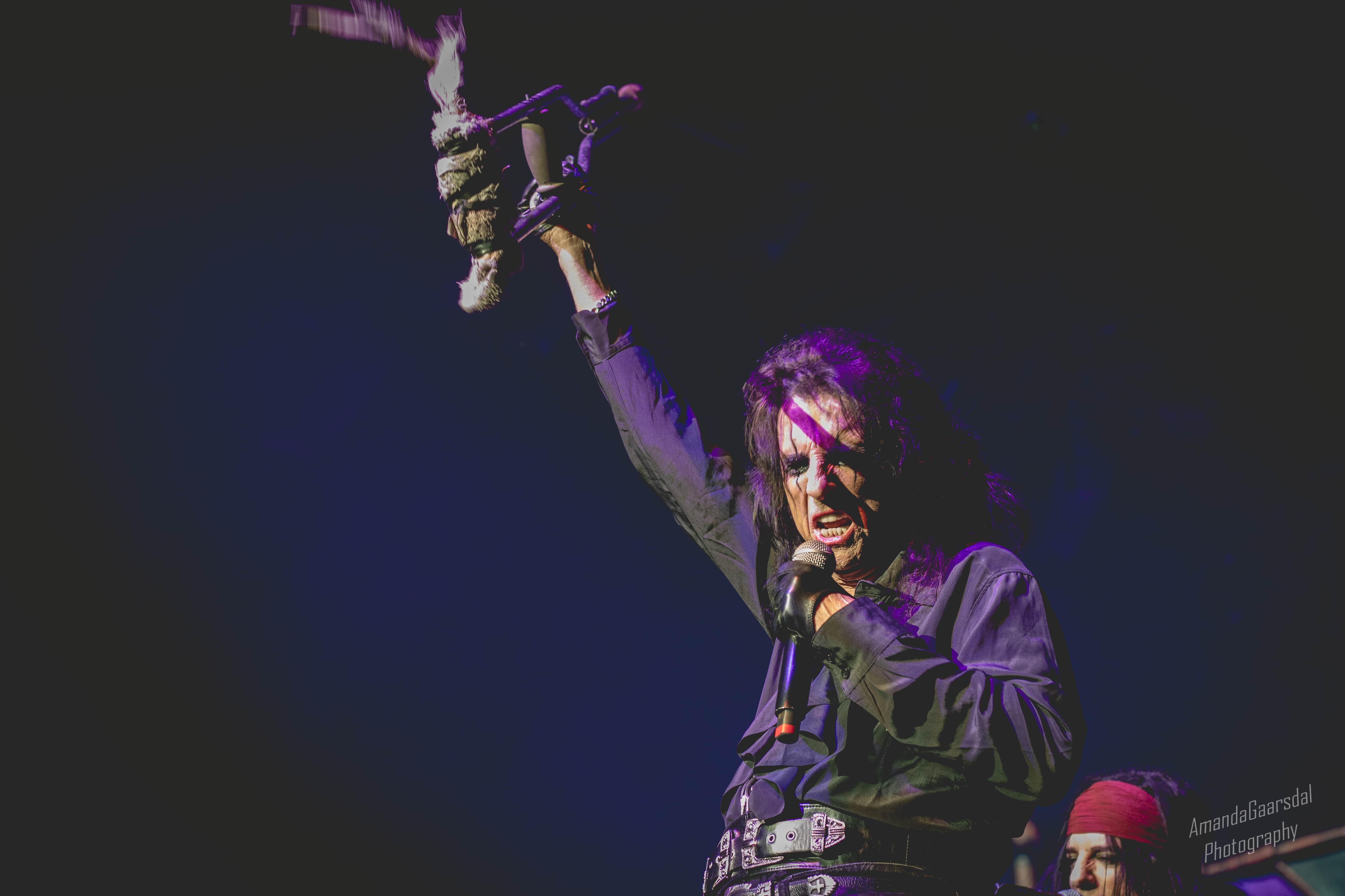 Alice Cooper - Foto: Amanda Gaarsdal