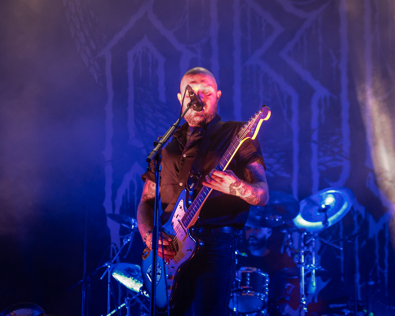 Orm - Foto: Anders Groos Mikkelsen