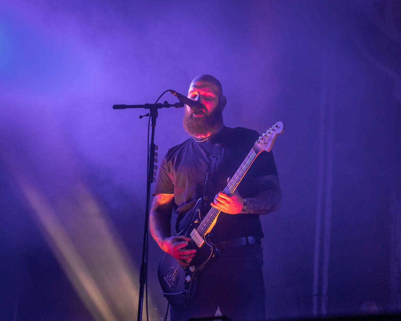 Orm - Foto: Anders Groos Mikkelsen
