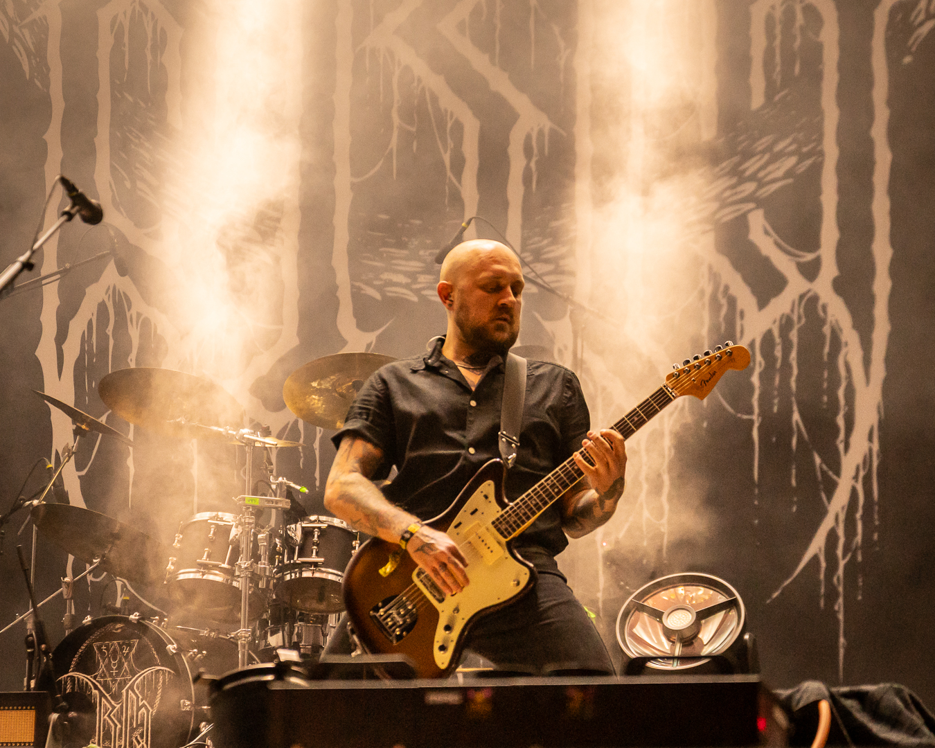 Orm - Foto: Anders Groos Mikkelsen