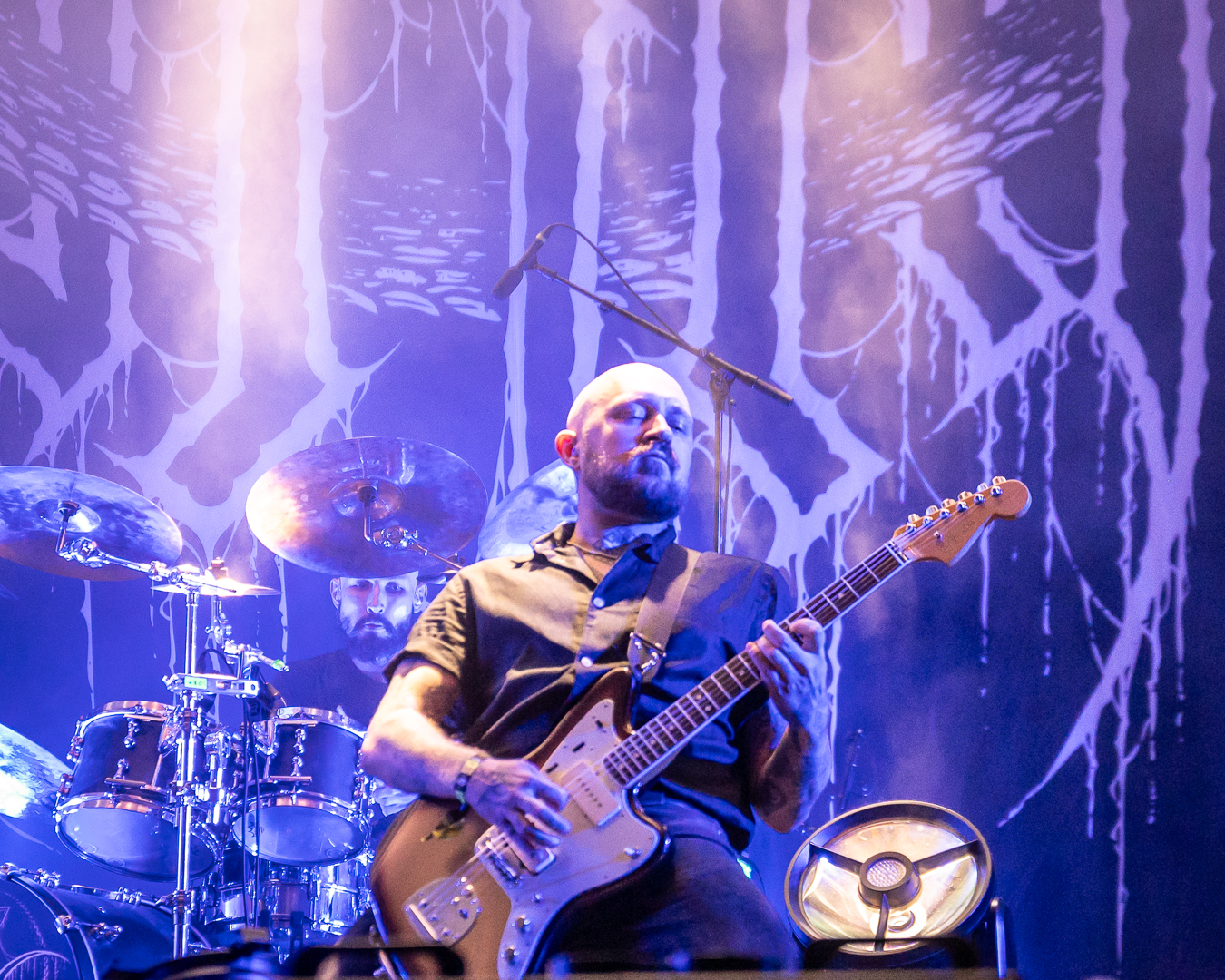 Orm - Foto: Anders Groos Mikkelsen