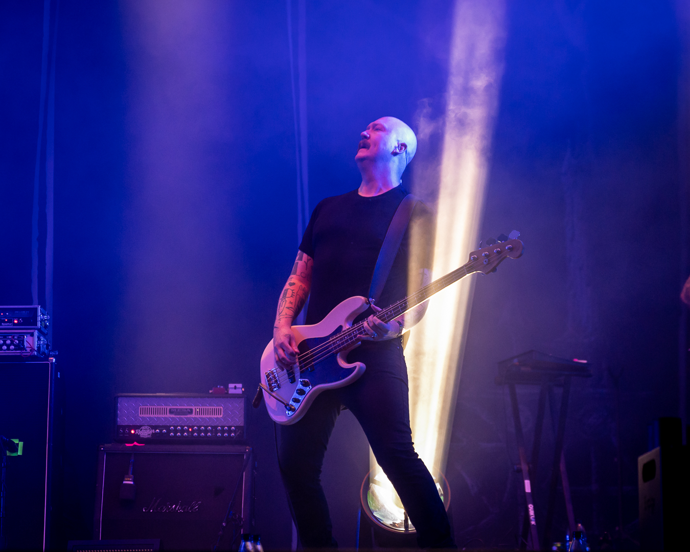 Orm - Foto: Anders Groos Mikkelsen