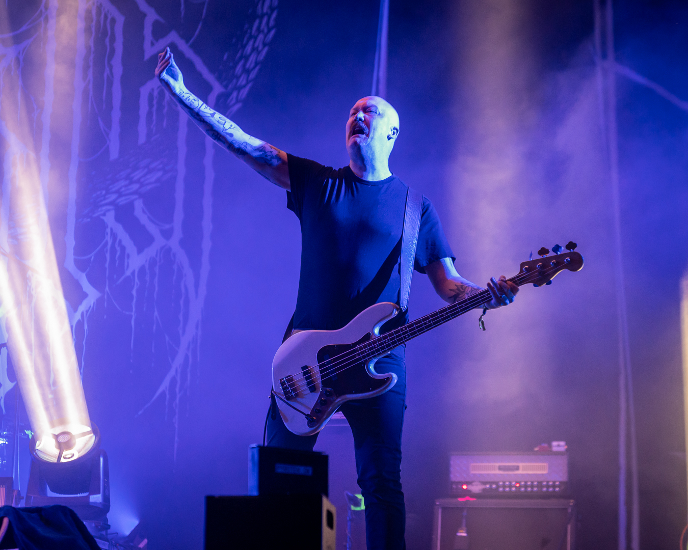 Orm - Foto: Anders Groos Mikkelsen