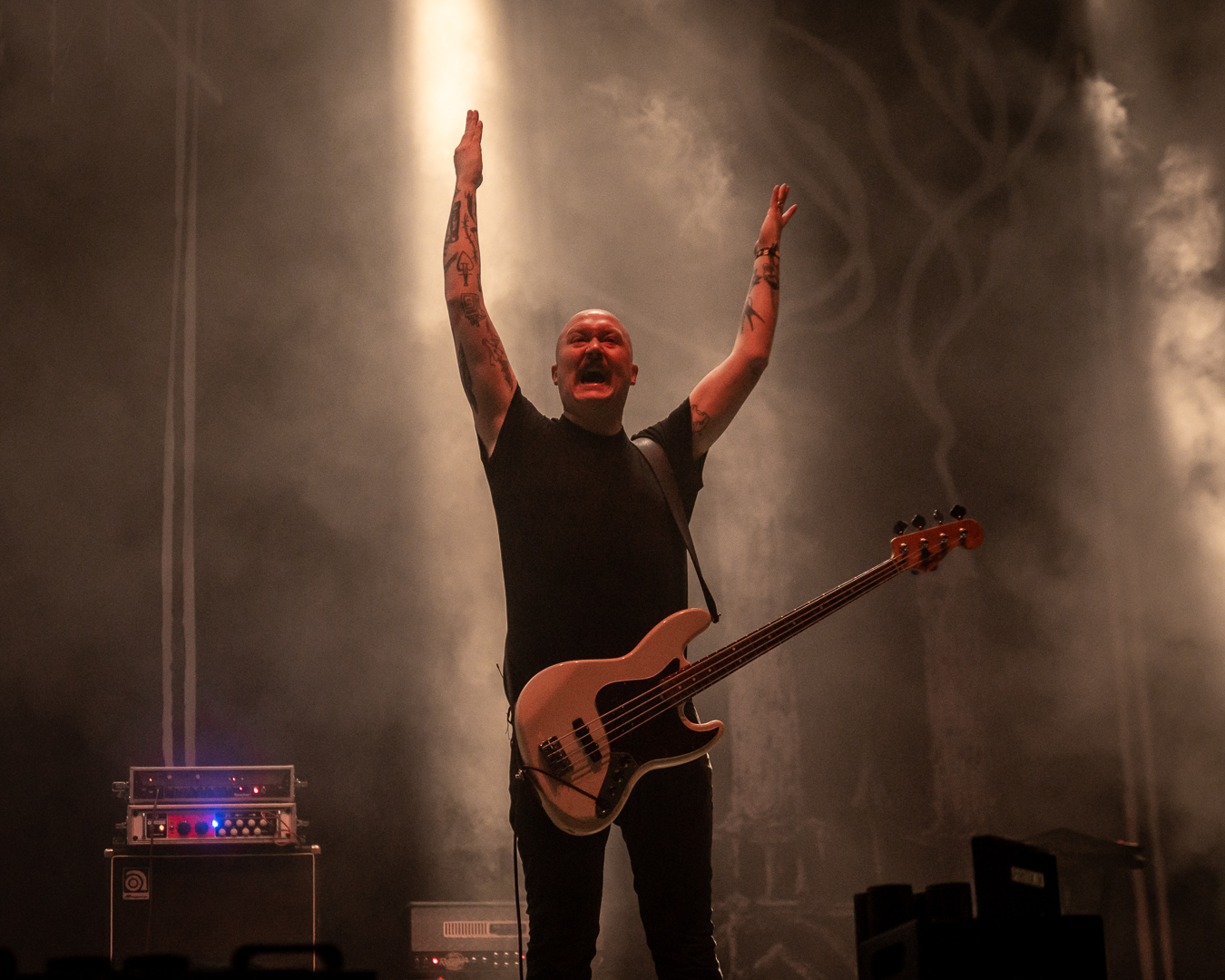 Orm - Foto: Anders Groos Mikkelsen