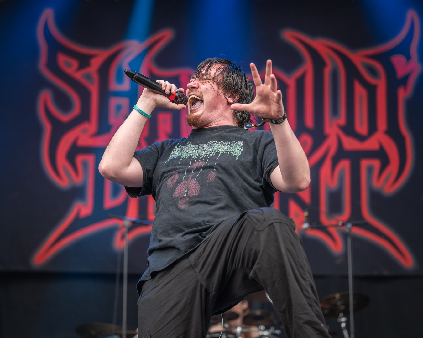 Fotoreportage: Shadow Of Intent