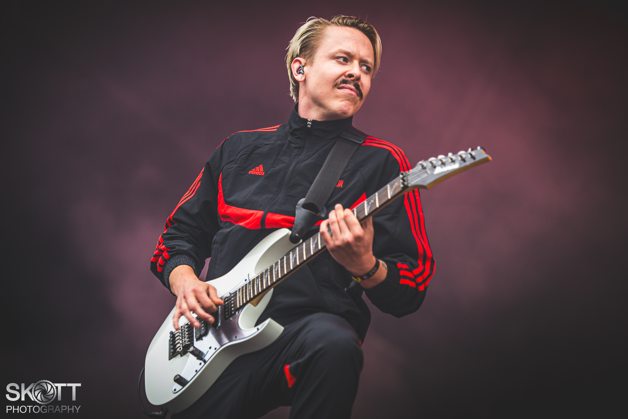 Siamese - Foto: Tommy Skøtt