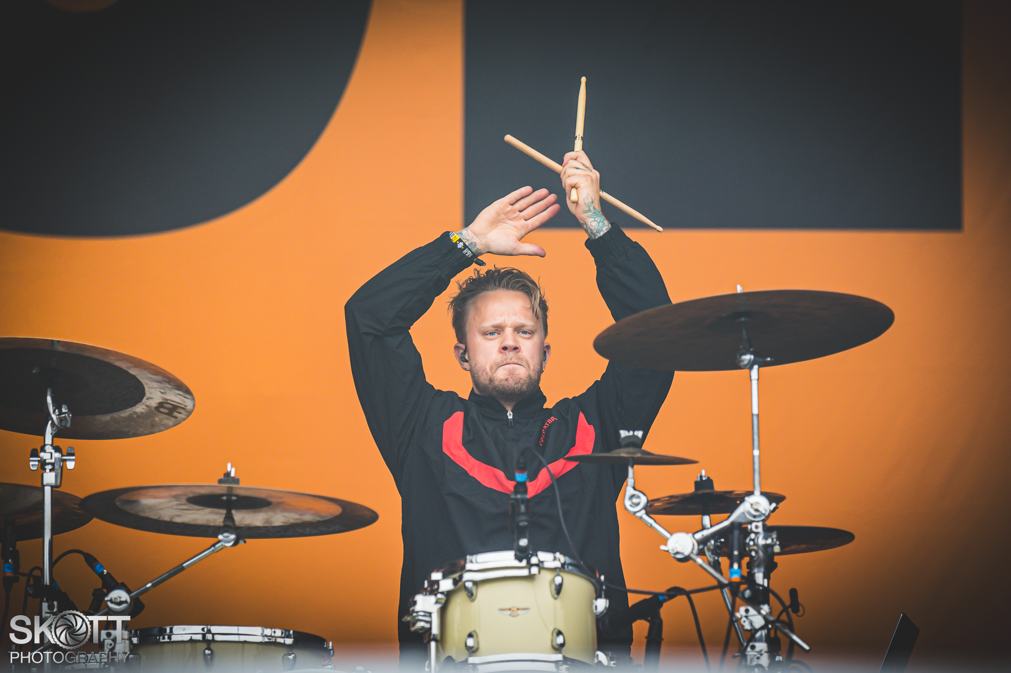 Siamese - Foto: Tommy Skøtt
