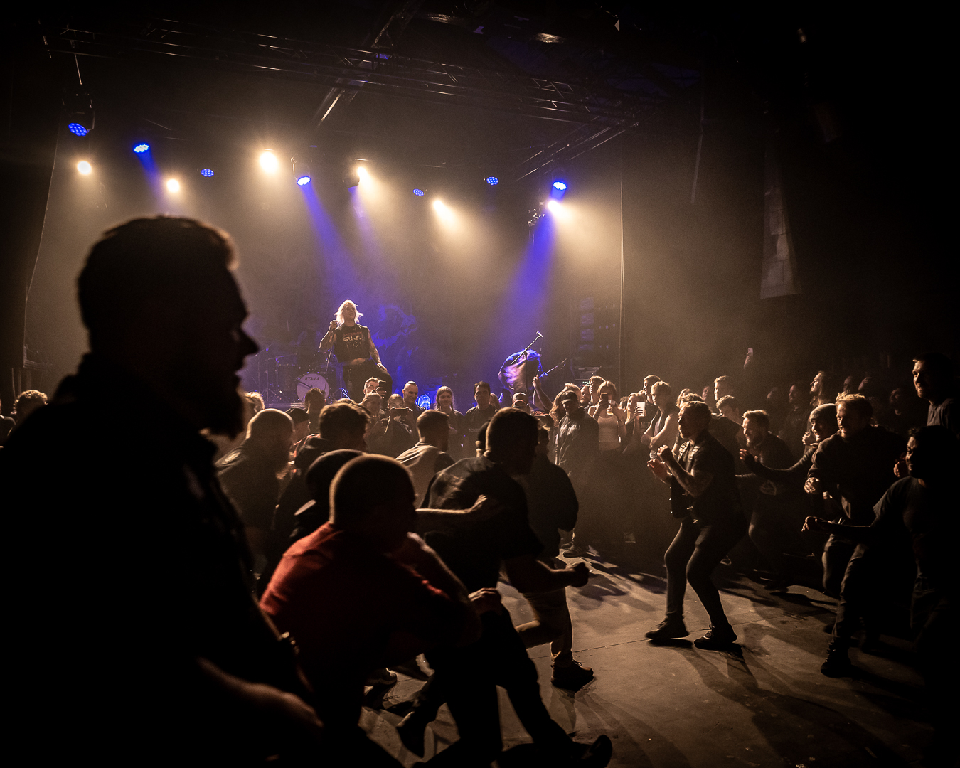 Signs of the Swarm - Foto: Anders Groos Mikkelsen