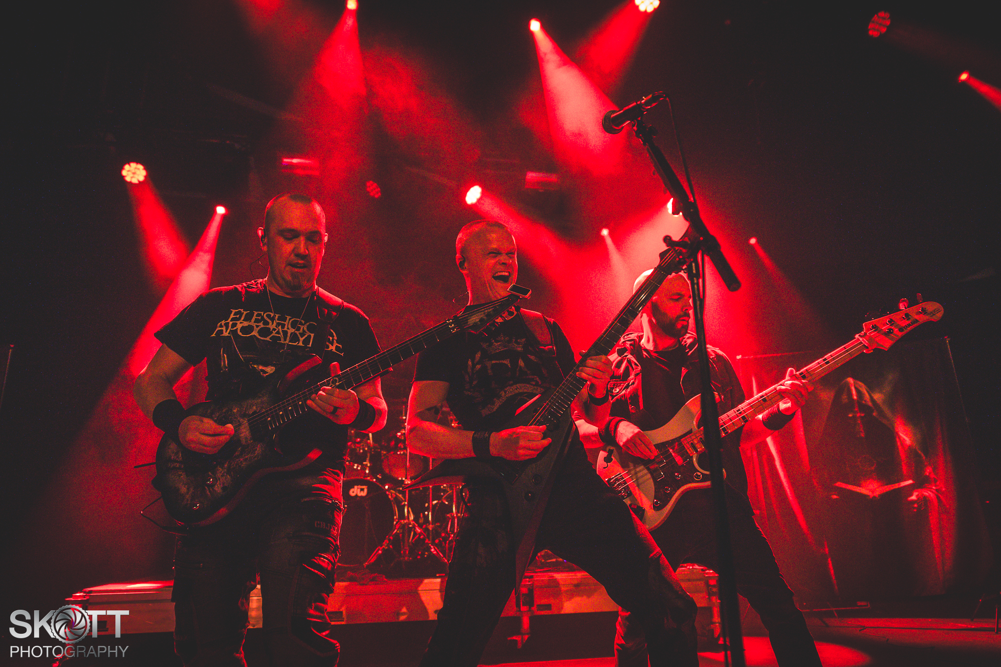 Insania - Foto: Tommy Skøtt