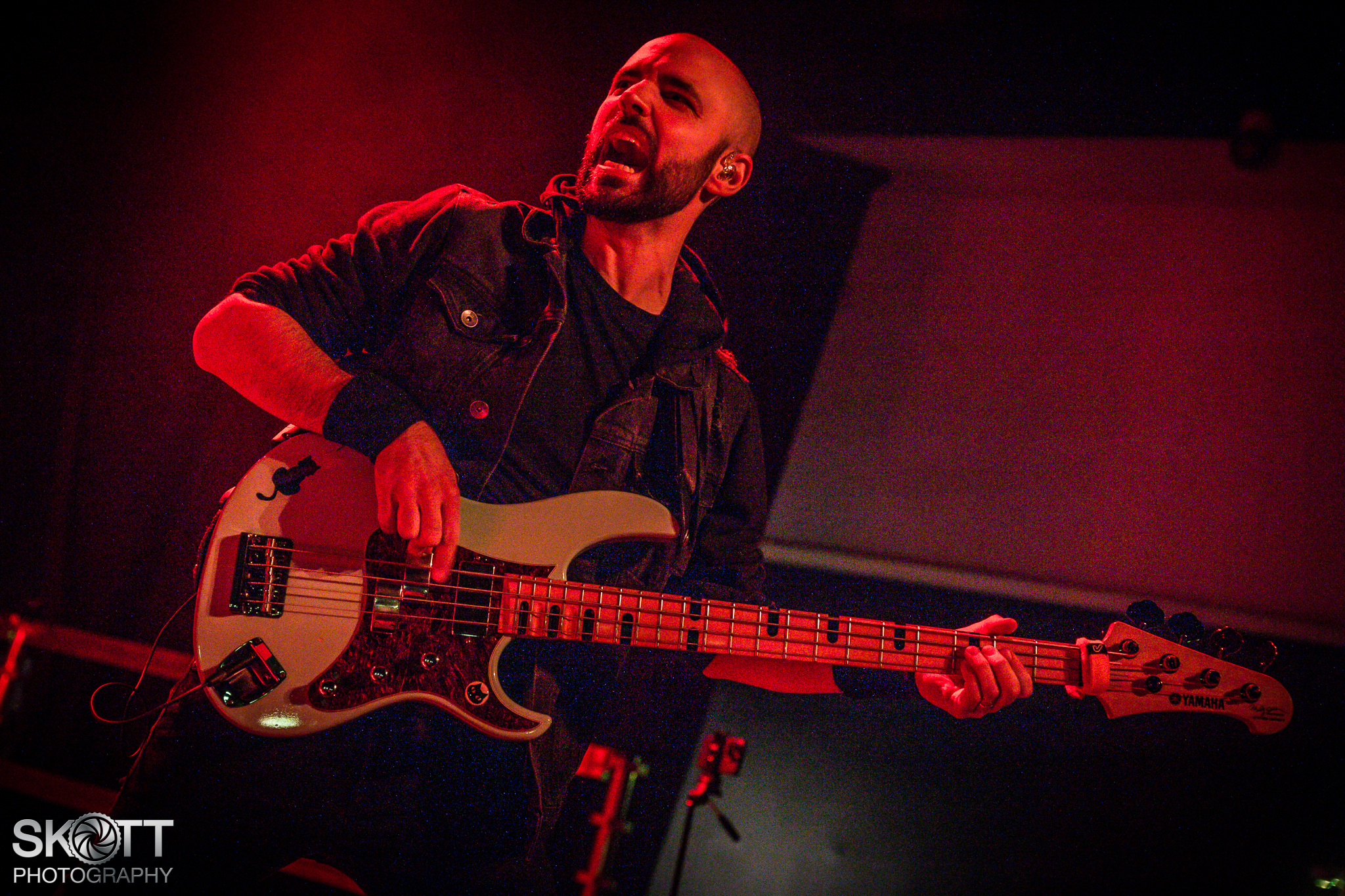 Insania - Foto: Tommy Skøtt