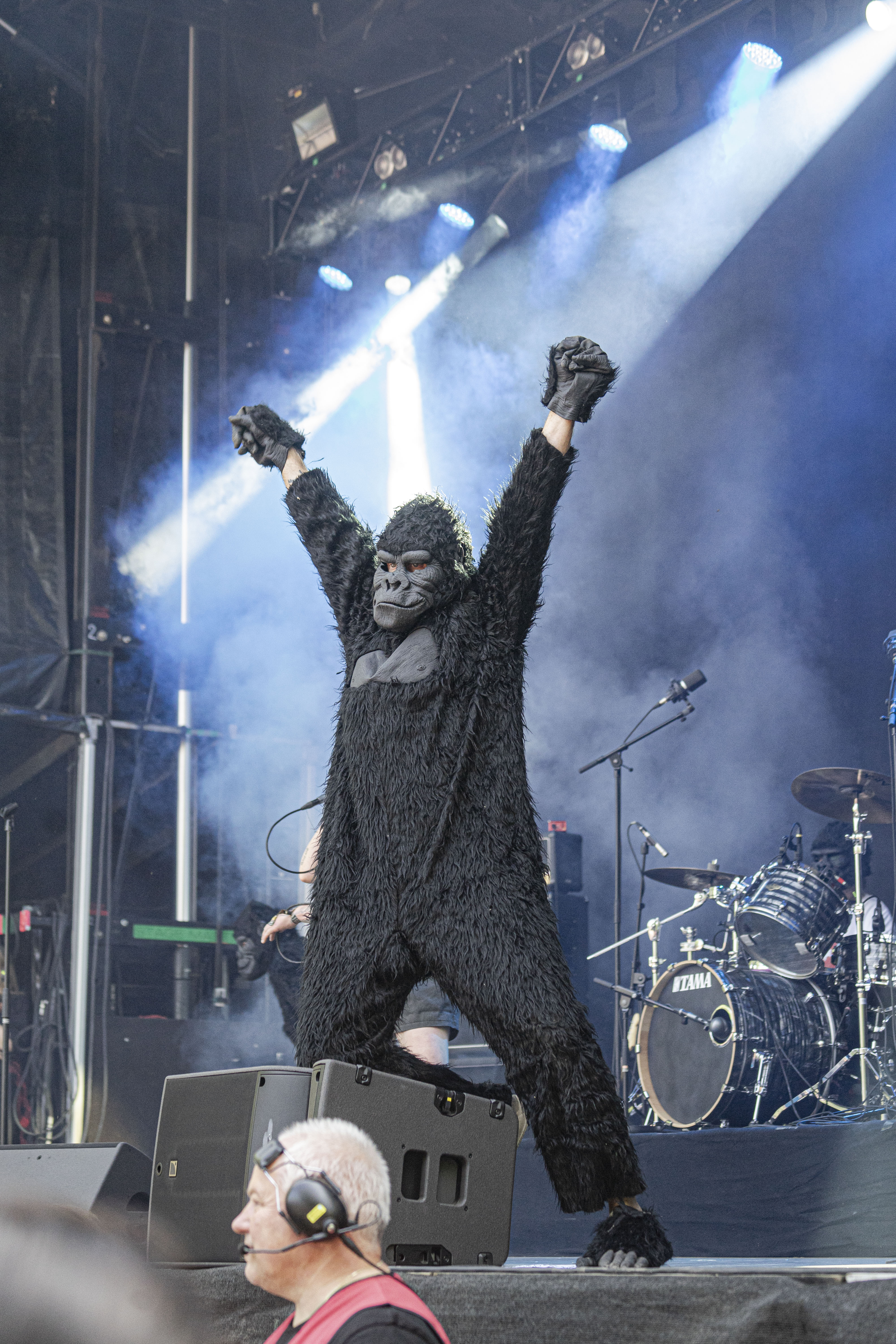 Gorilla Angreb - Foto: Joachim Vilstrup