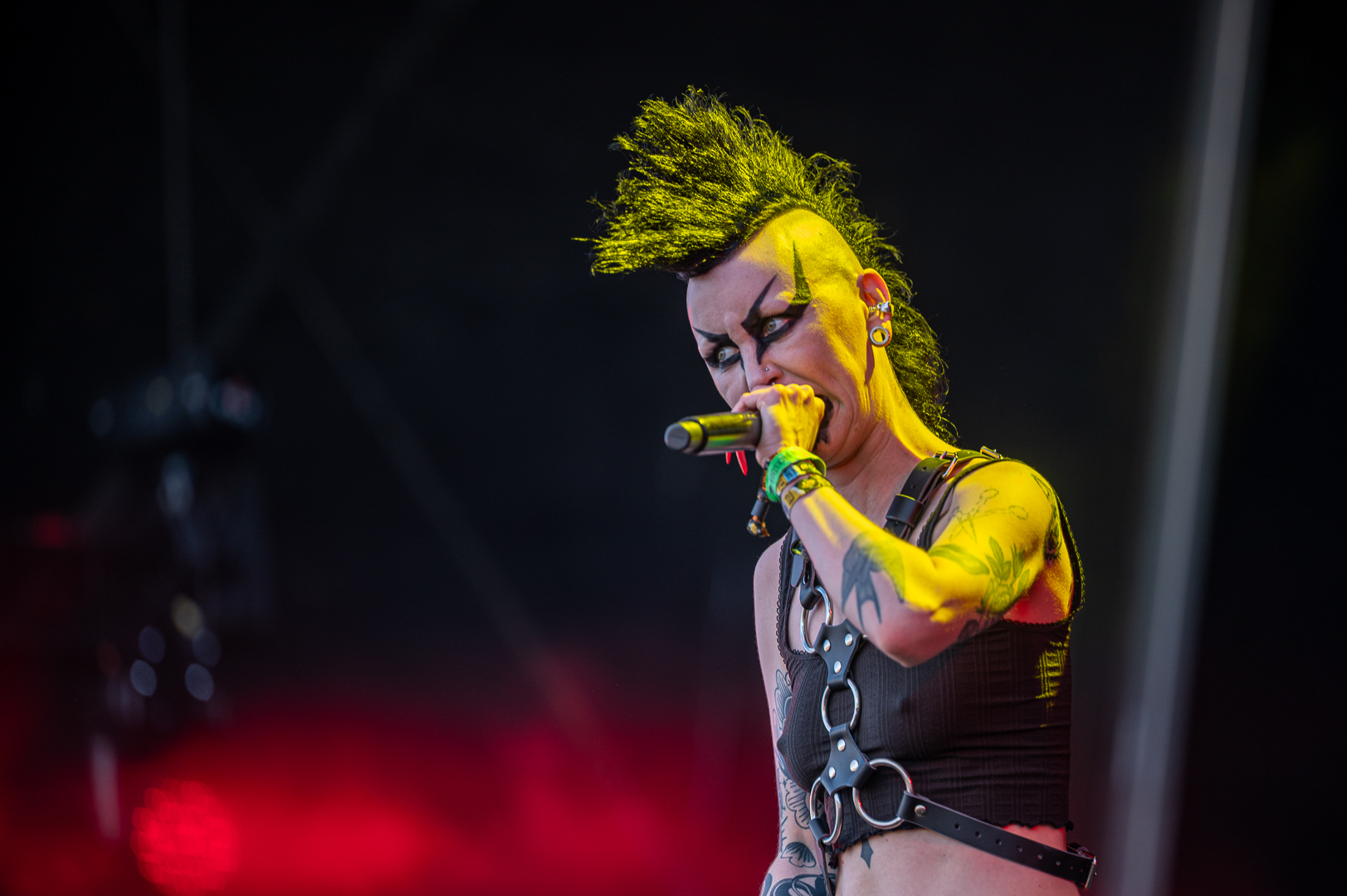 Vulvatorious - Foto: Mikkelsen Photo