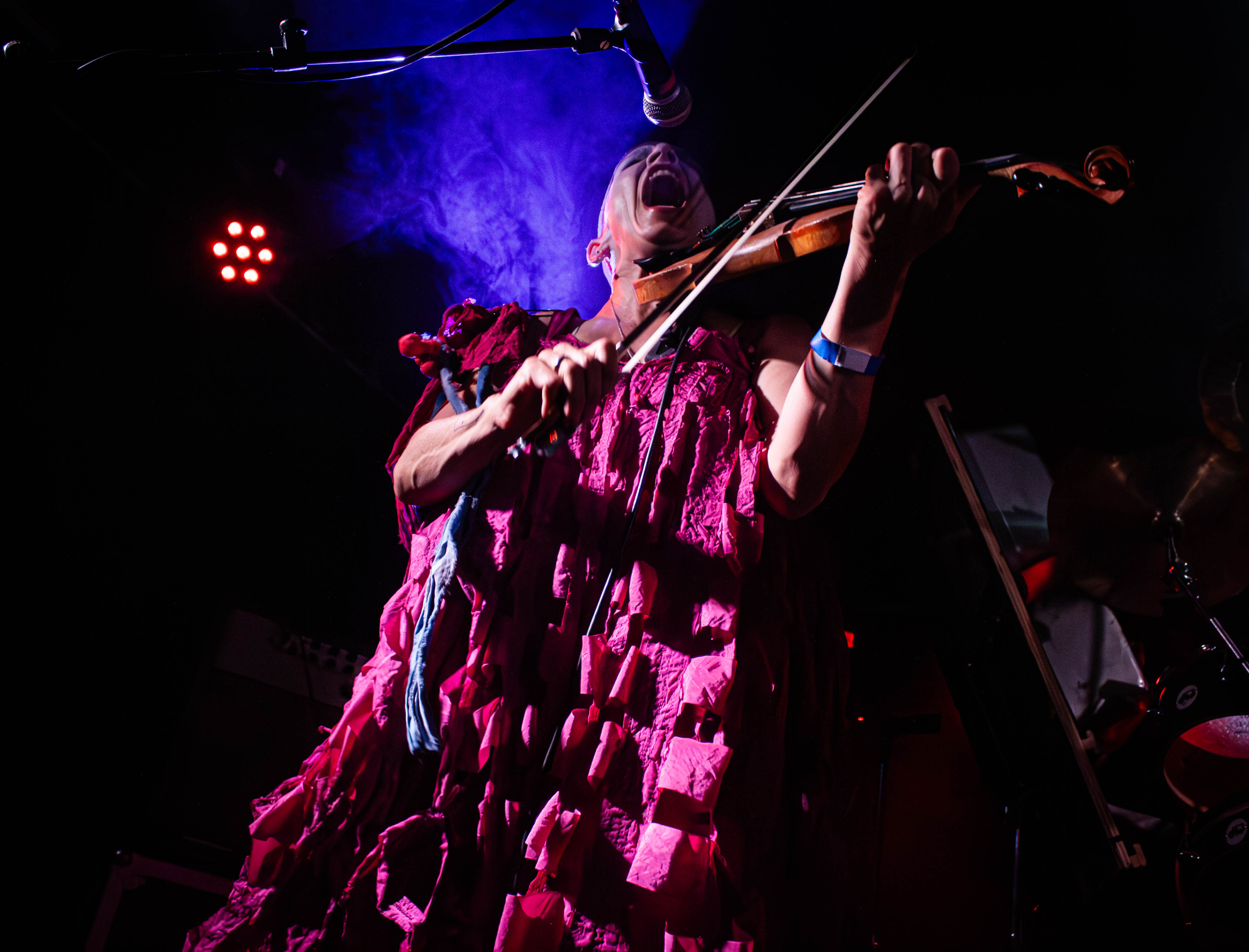 Sleepytime Gorilla Museum - Foto: Bastian Reinholdt Madsen